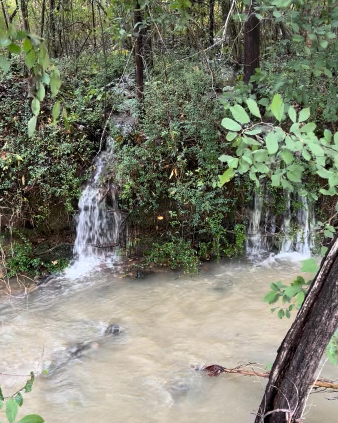 3291 Stepping Rock Drive