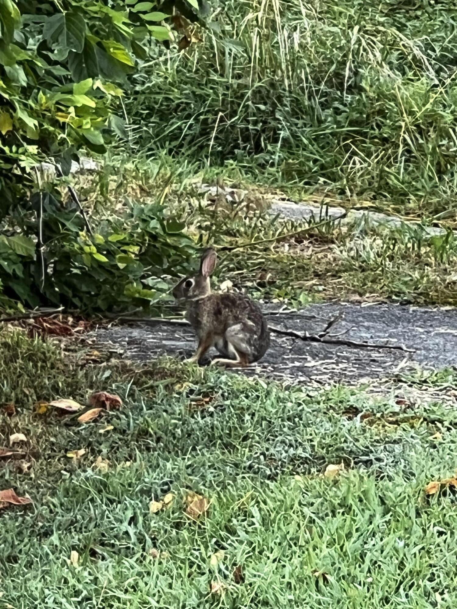 3291 Stepping Rock Drive