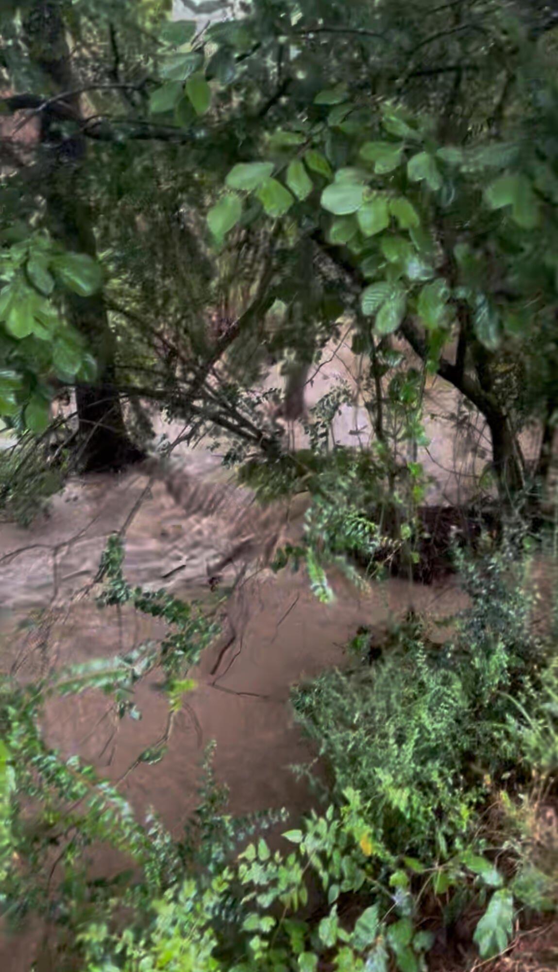 3291 Stepping Rock Drive