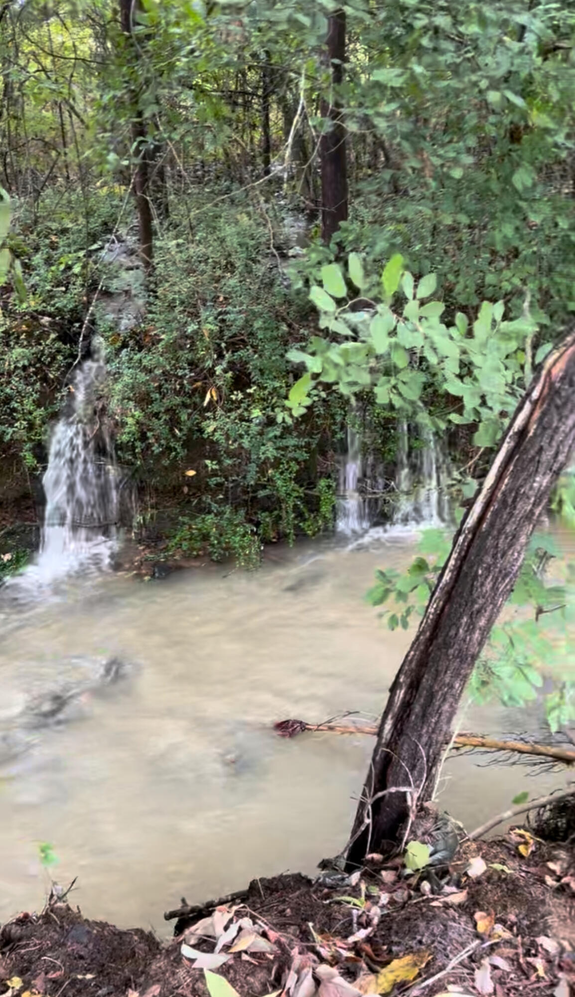 3291 Stepping Rock Drive