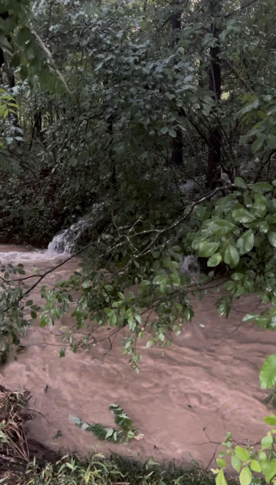 3291 Stepping Rock Drive