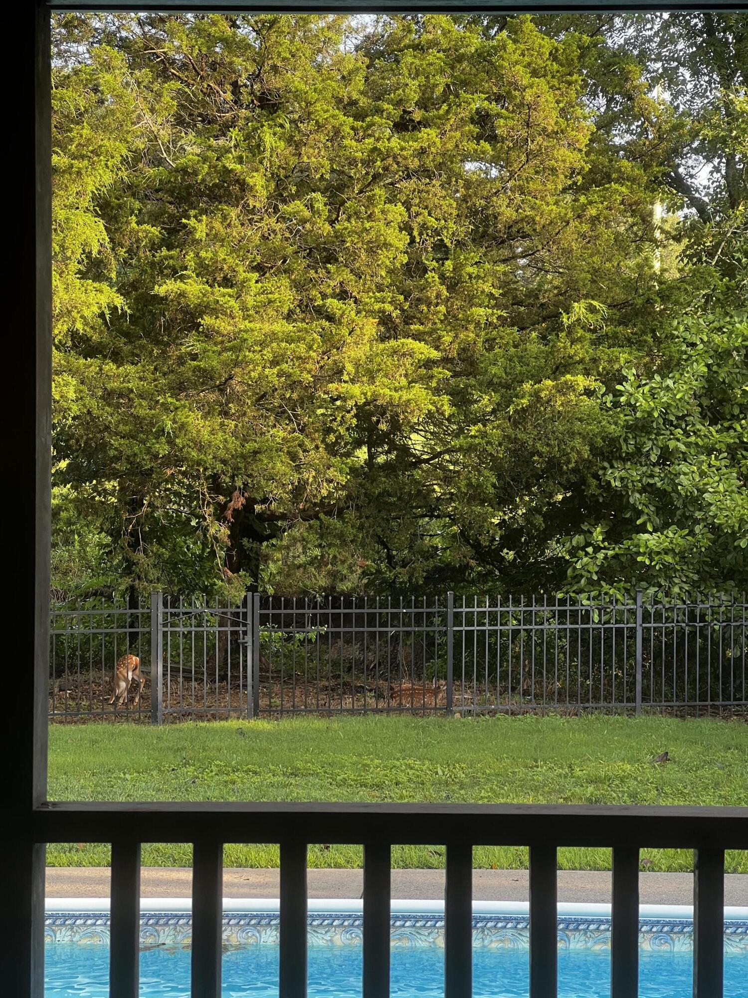 3291 Stepping Rock Drive