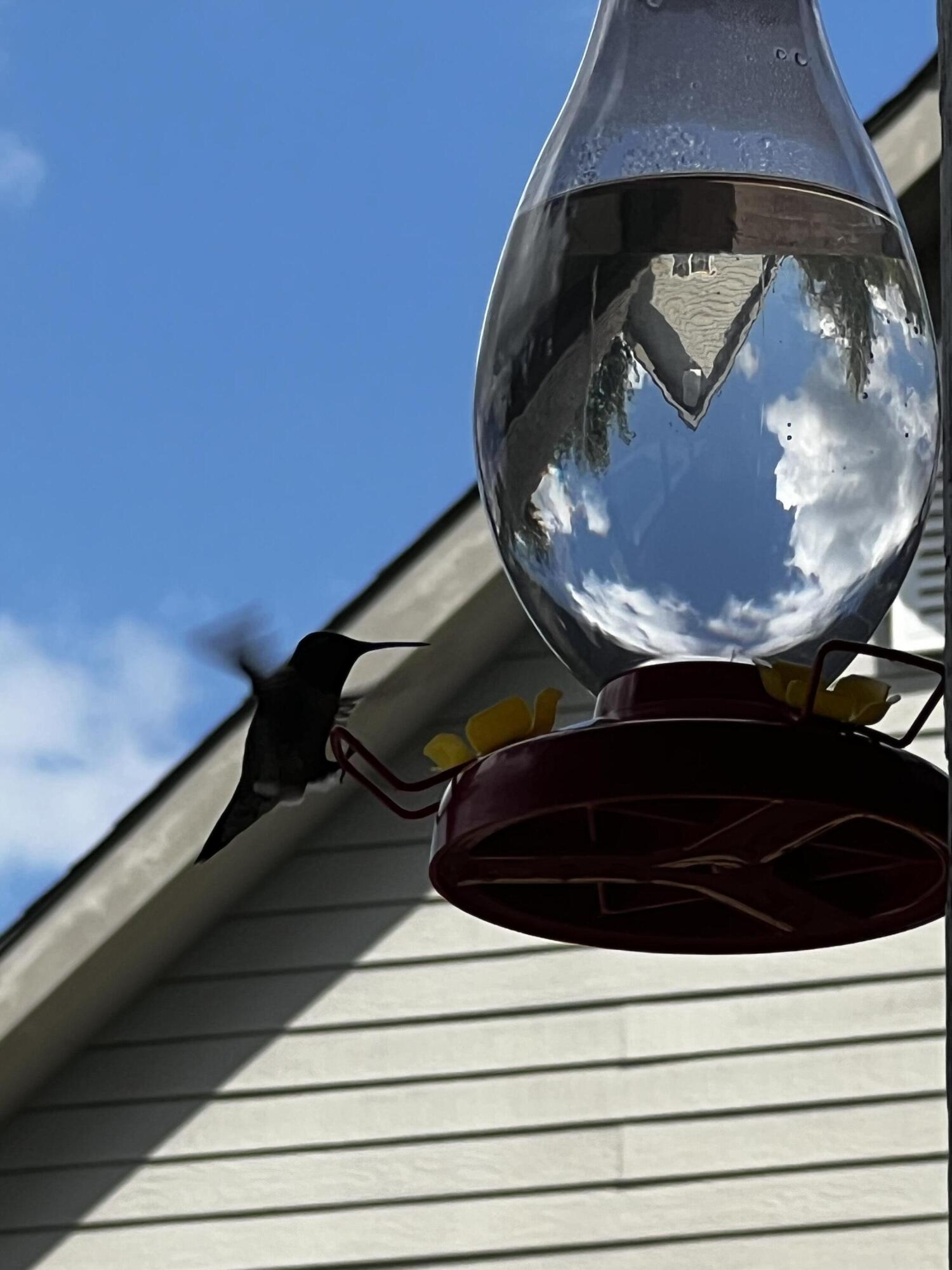 3291 Stepping Rock Drive