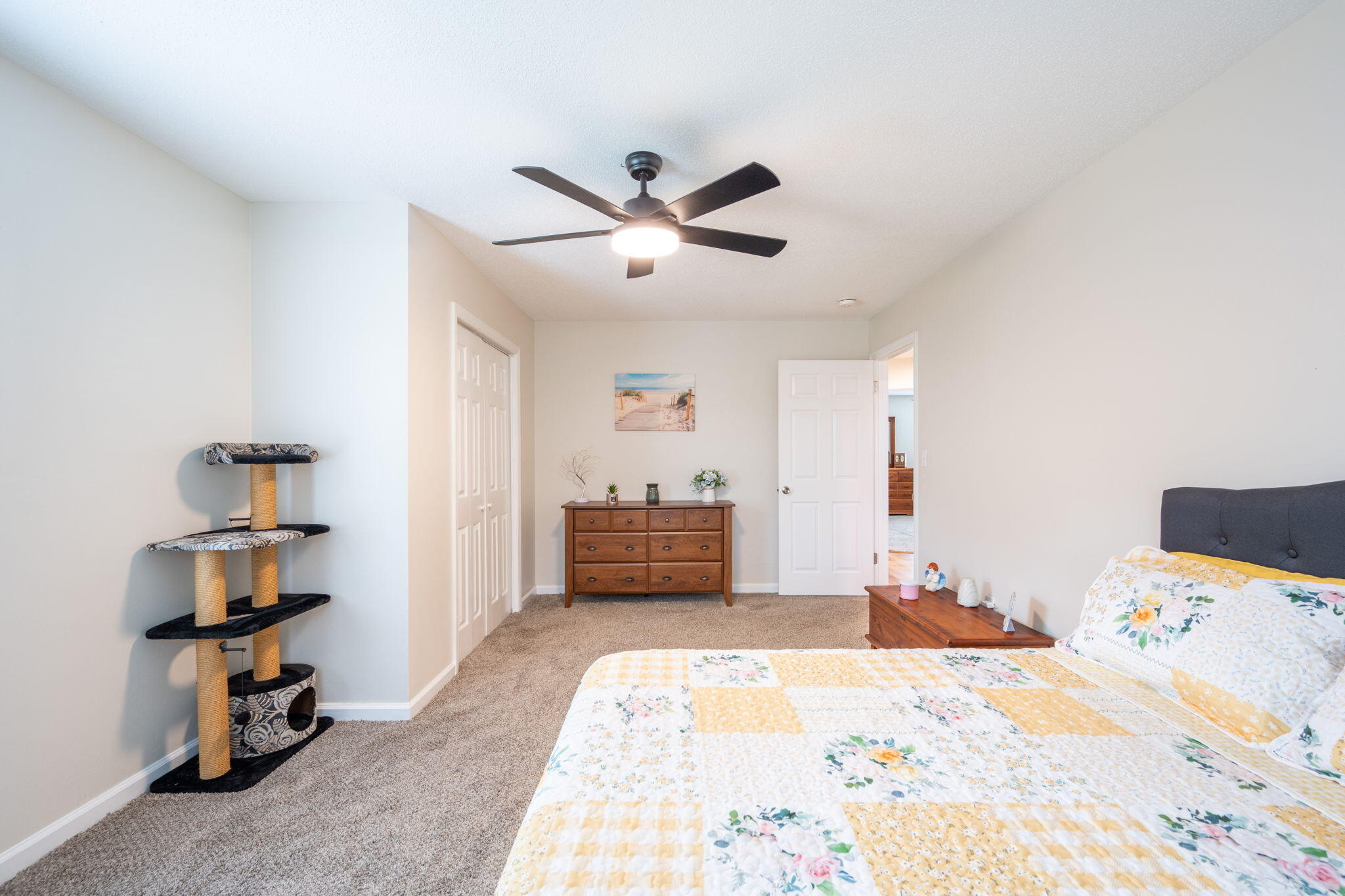 3107 Lookaway Trail