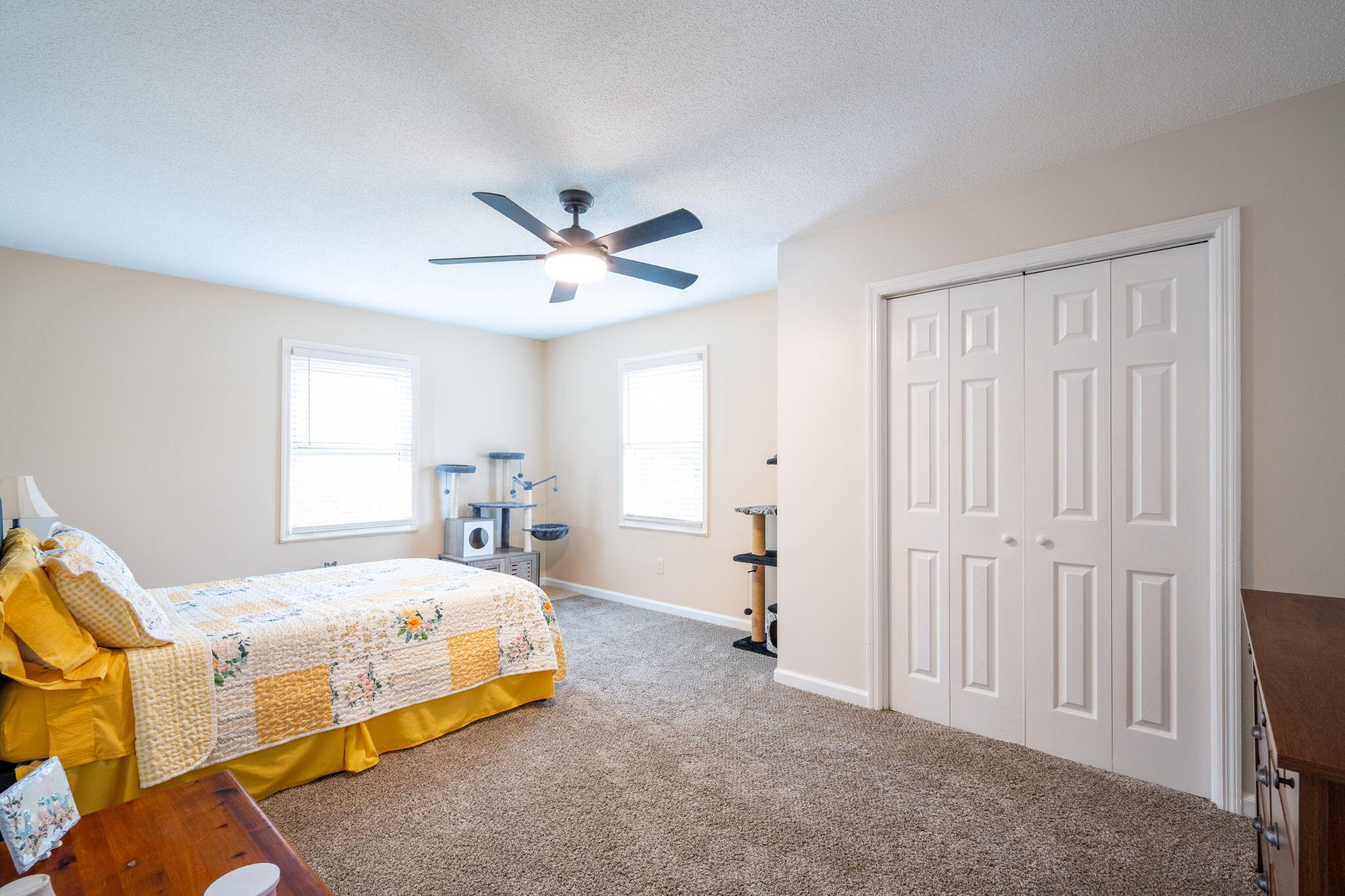 3107 Lookaway Trail