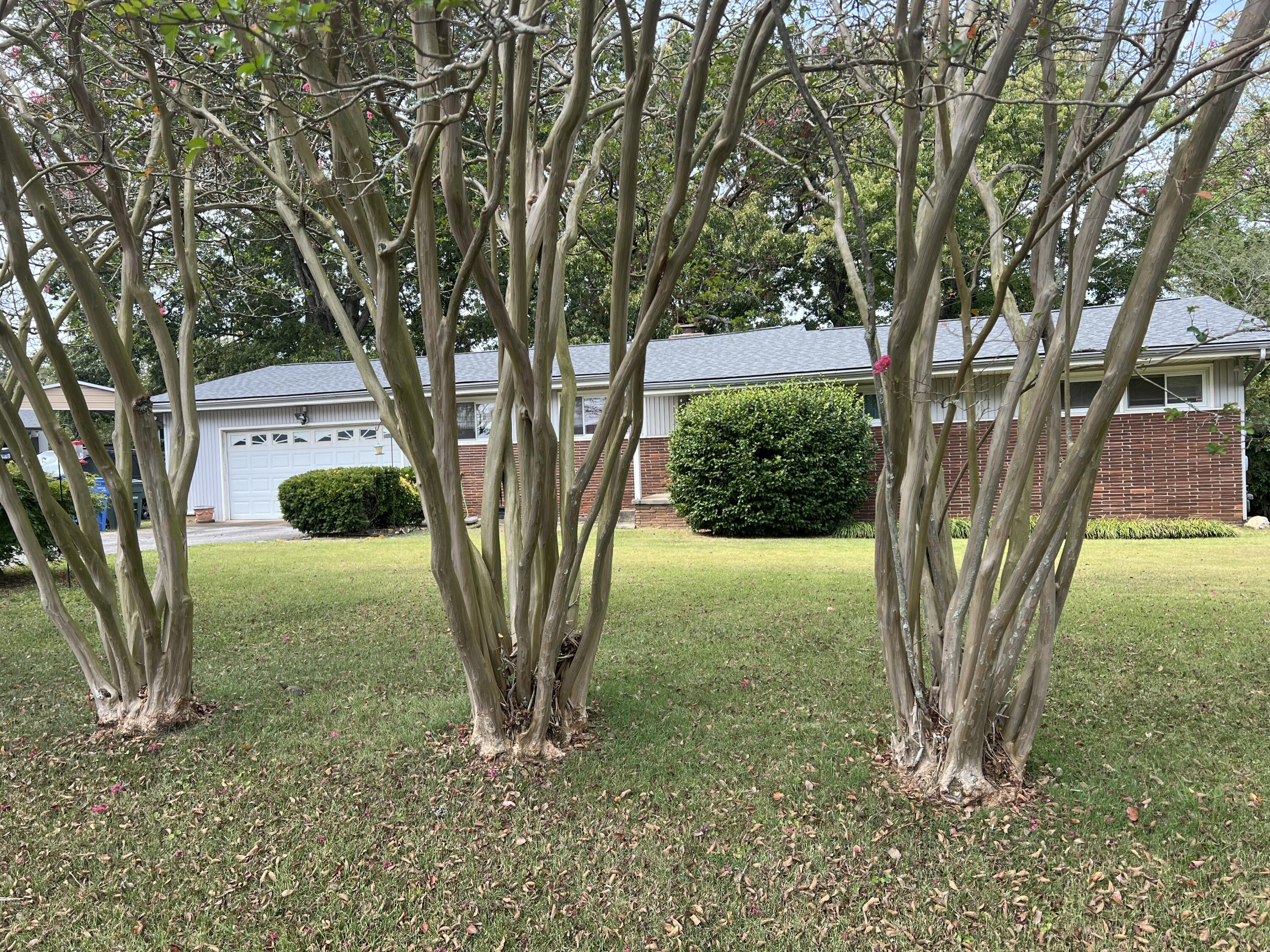 4511 Murray Hills Drive