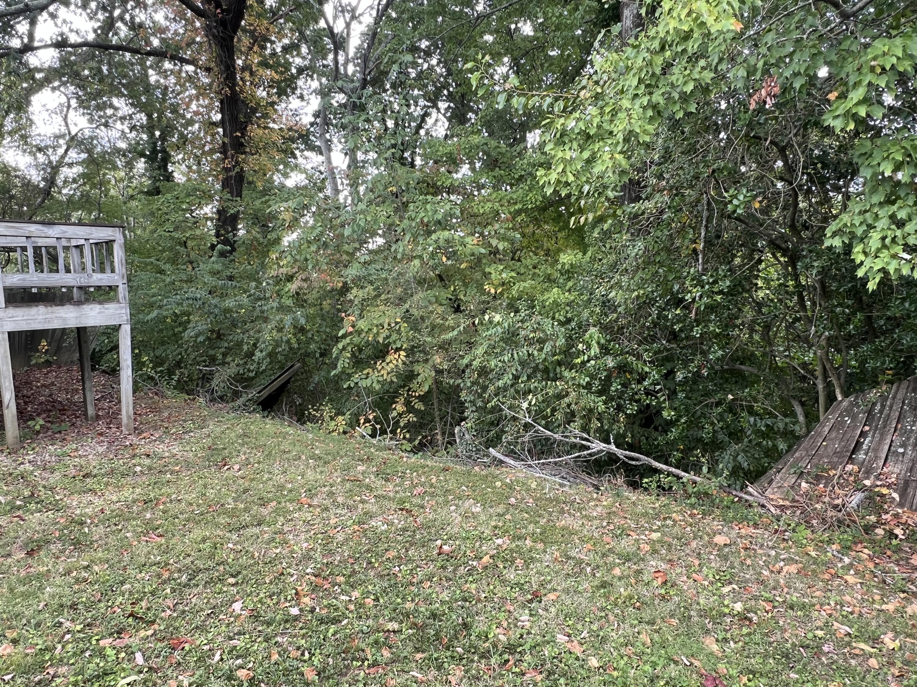 4511 Murray Hills Drive