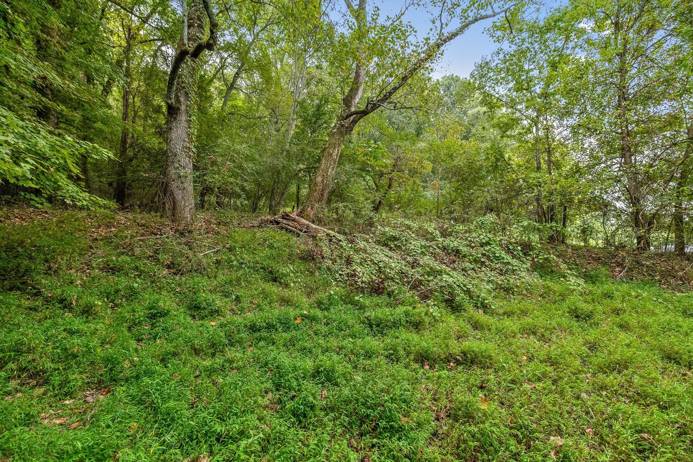 2002 Gold Point Circle N