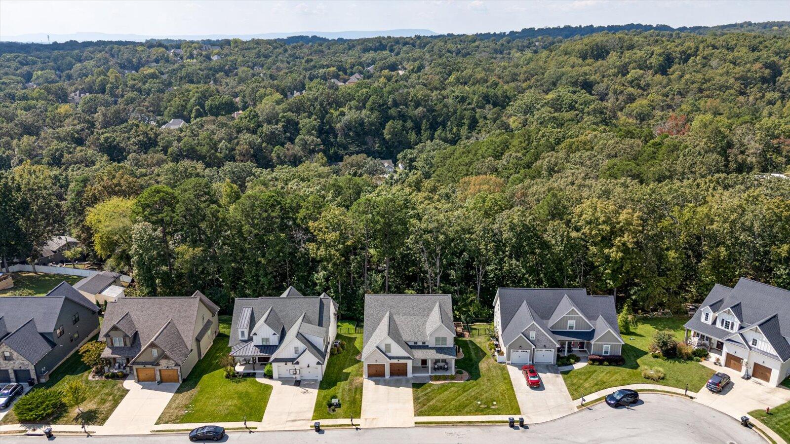 9124 White Ash Drive