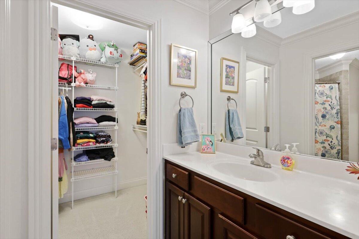 3349 Cloudcrest Trail