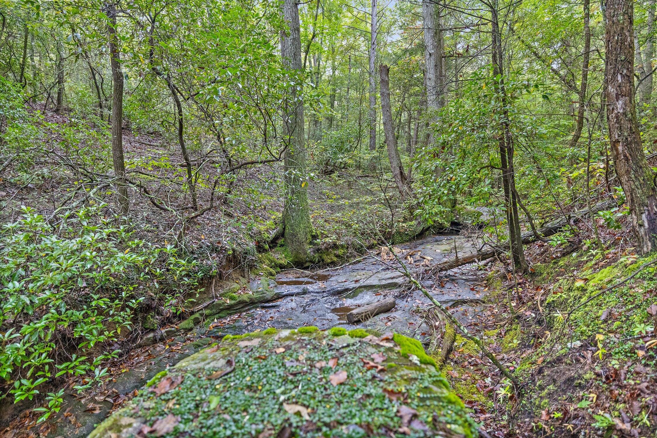 591 Red Rock Canyon Road