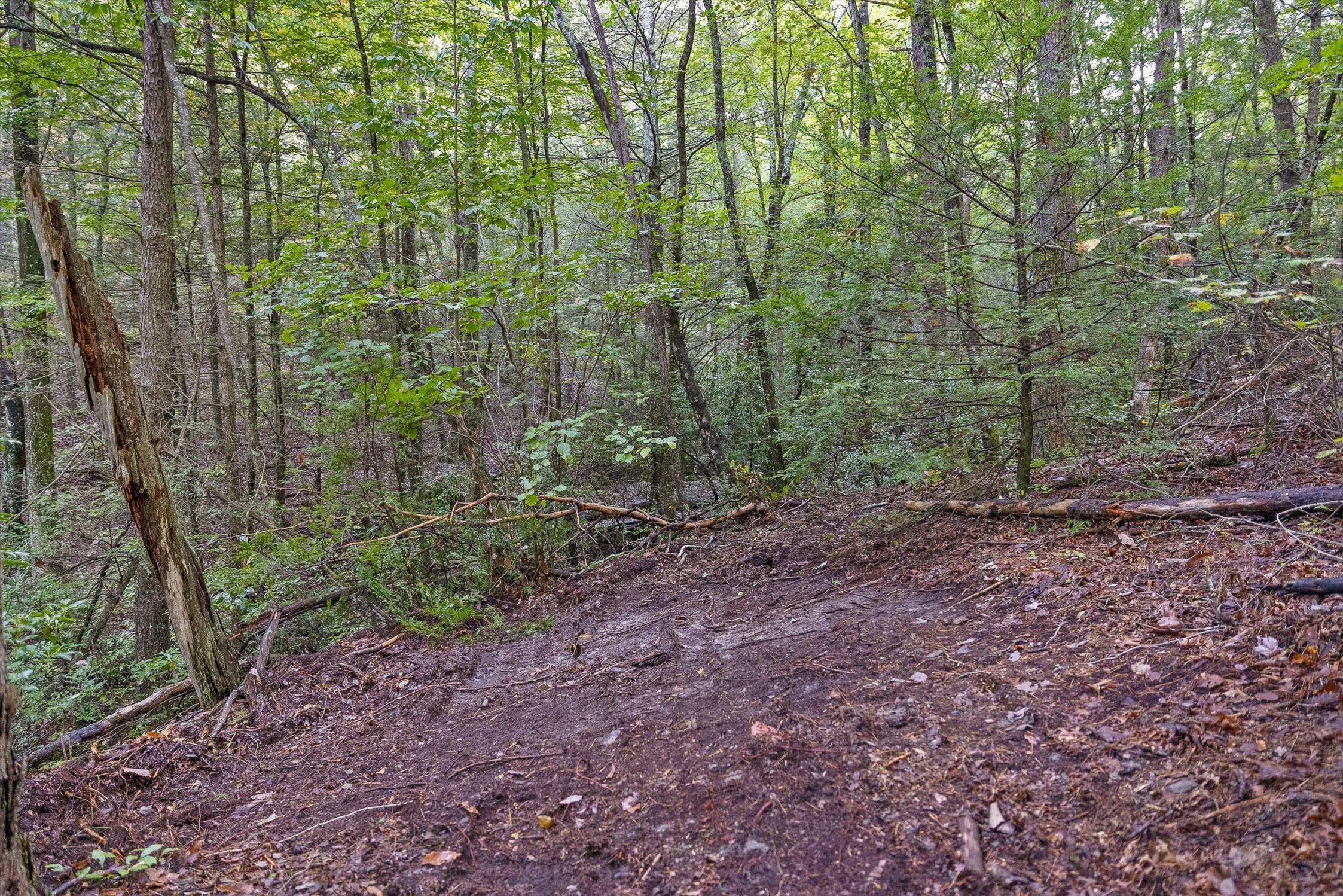 591 Red Rock Canyon Road