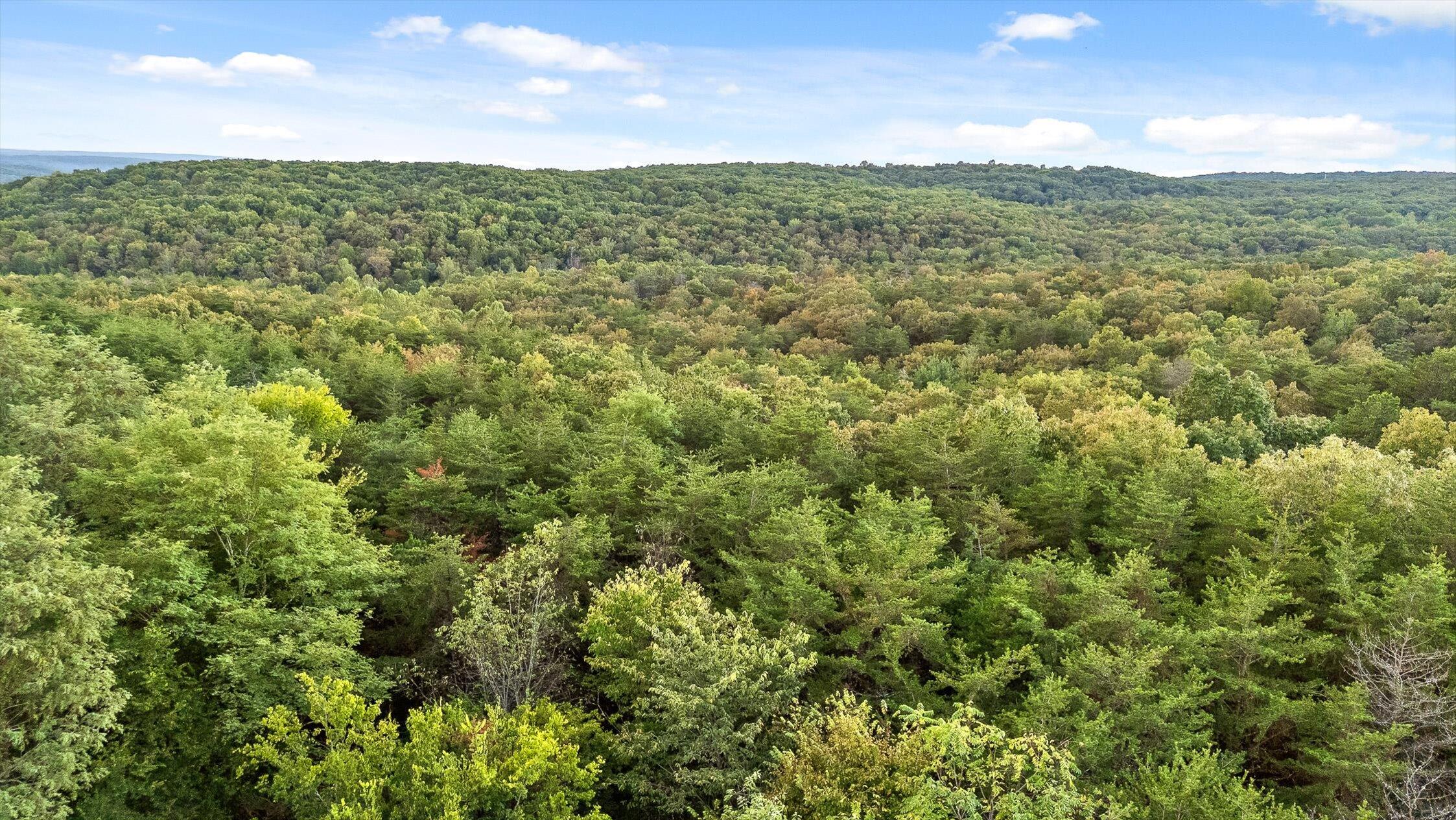 591 Red Rock Canyon Road