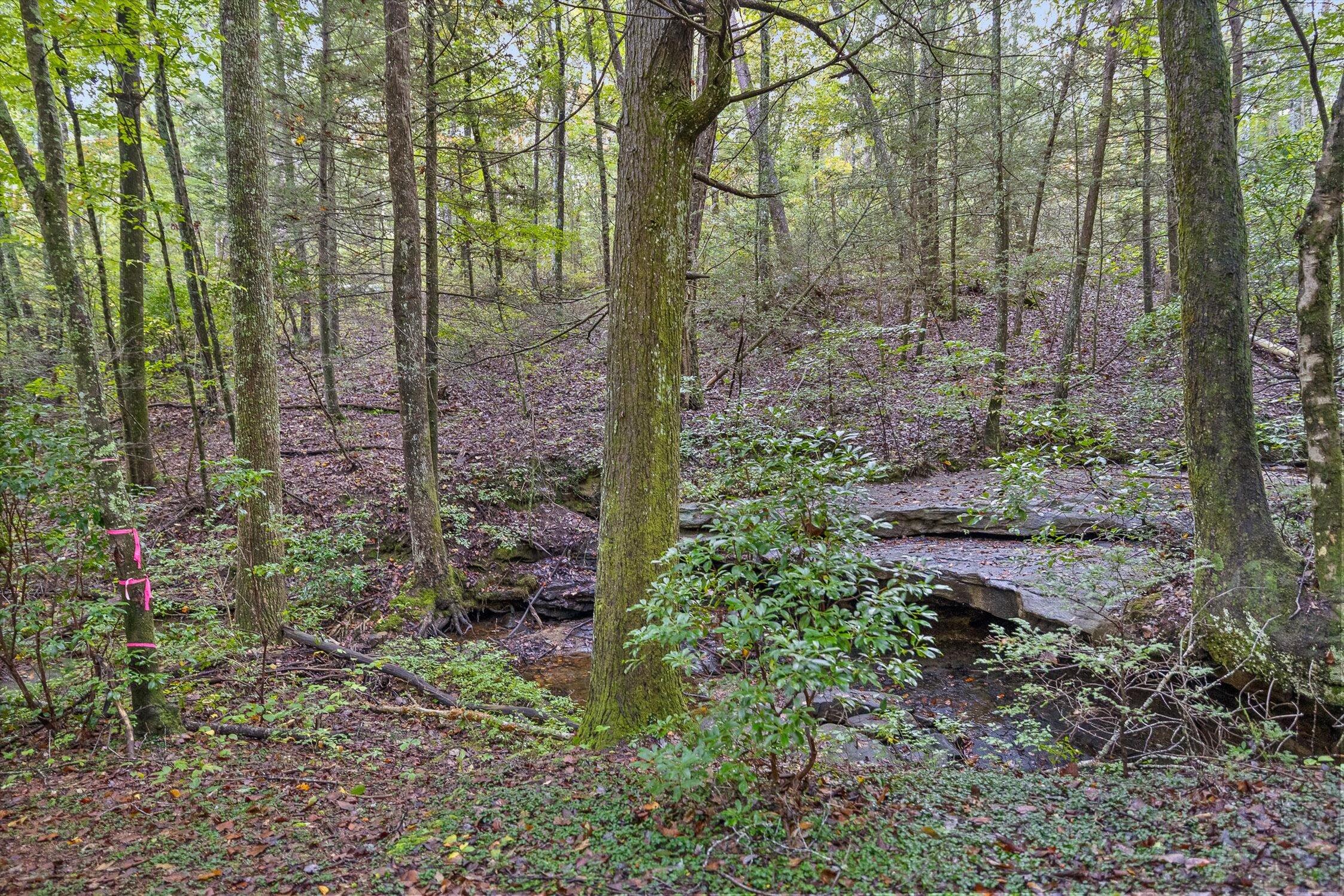 591 Red Rock Canyon Road