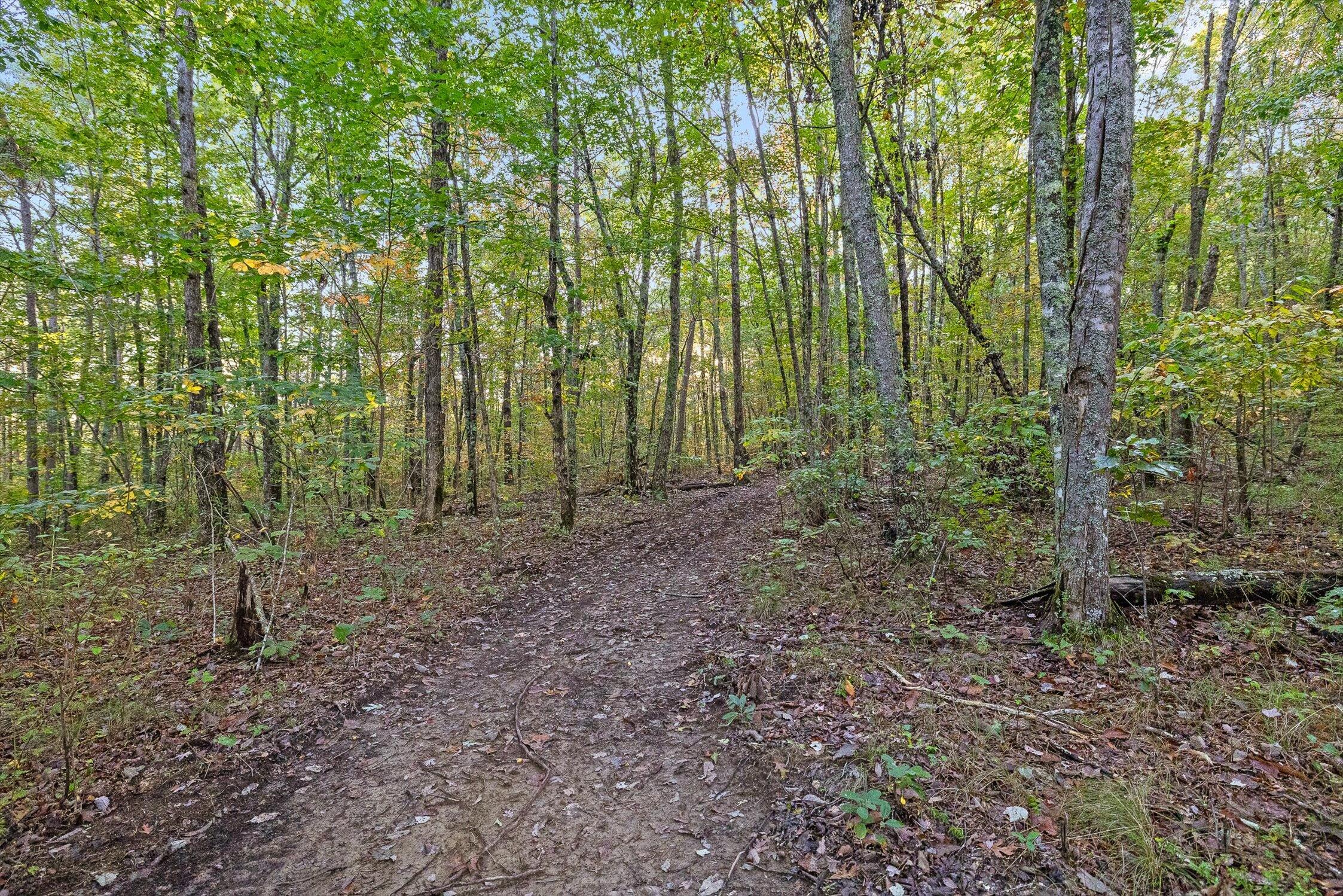 591 Red Rock Canyon Road