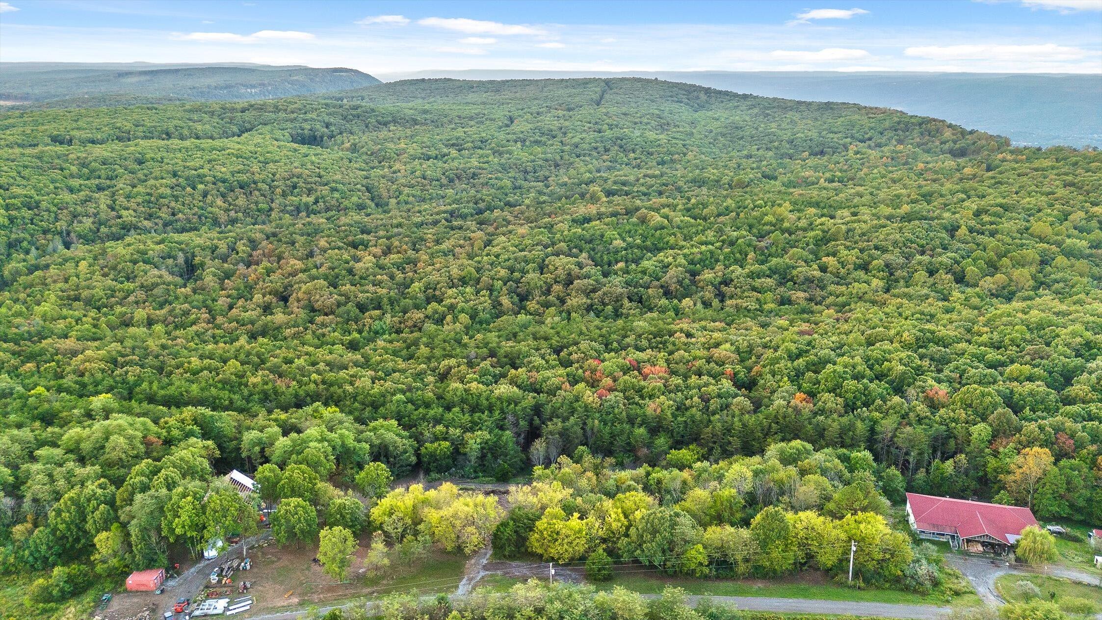 591 Red Rock Canyon Road