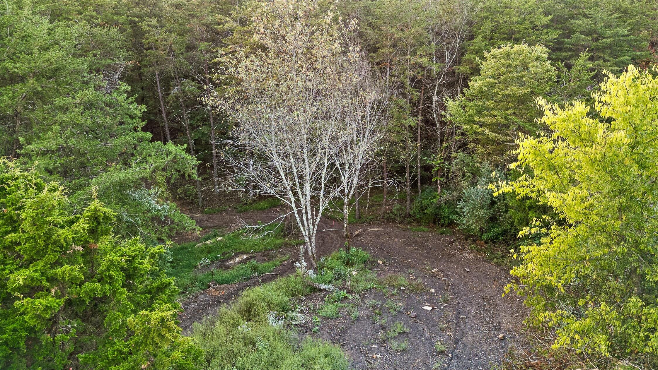 591 Red Rock Canyon Road