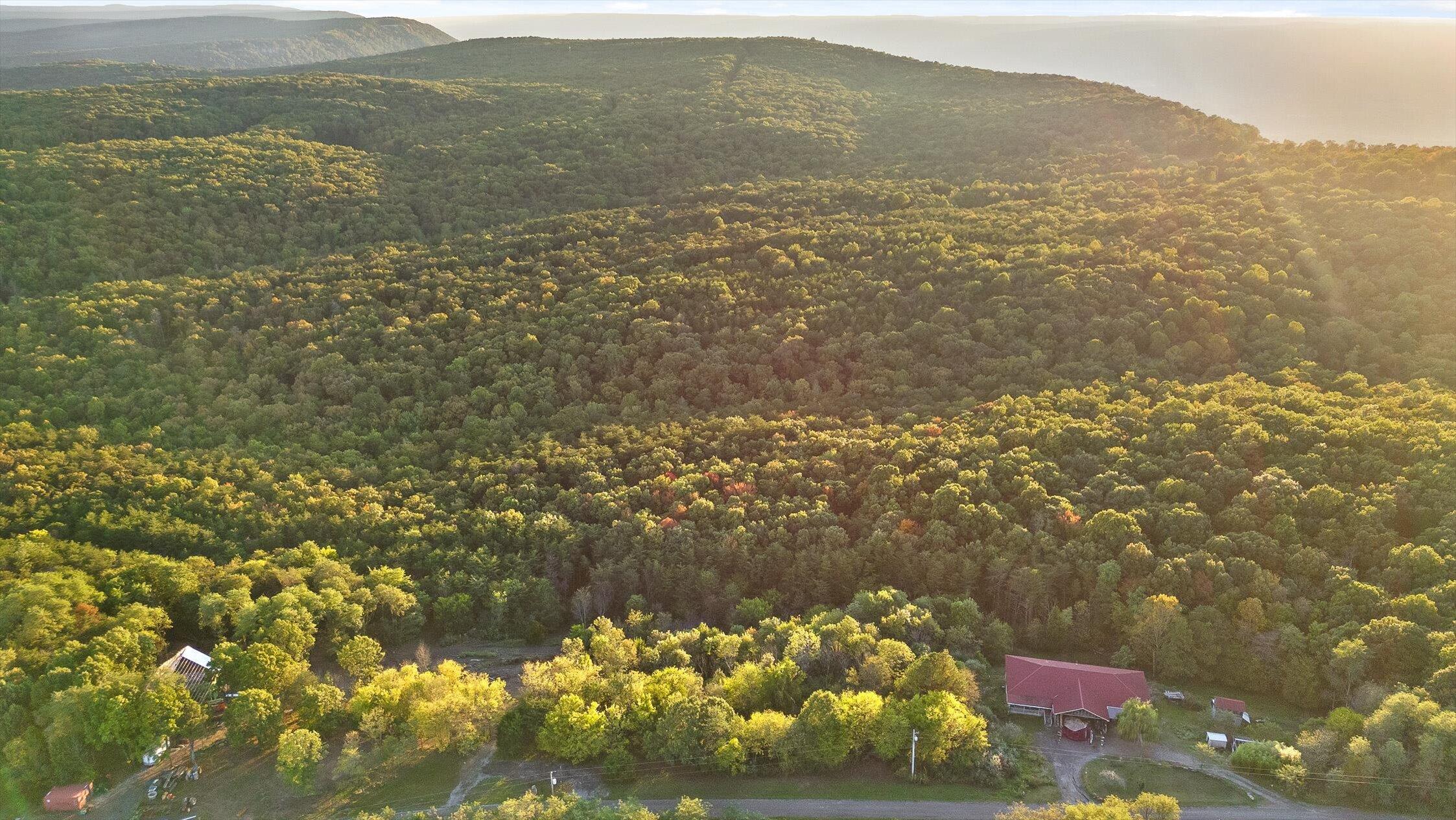 591 Red Rock Canyon Road