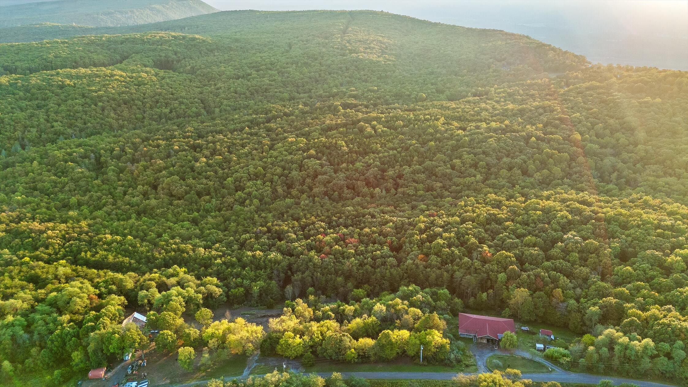 591 Red Rock Canyon Road