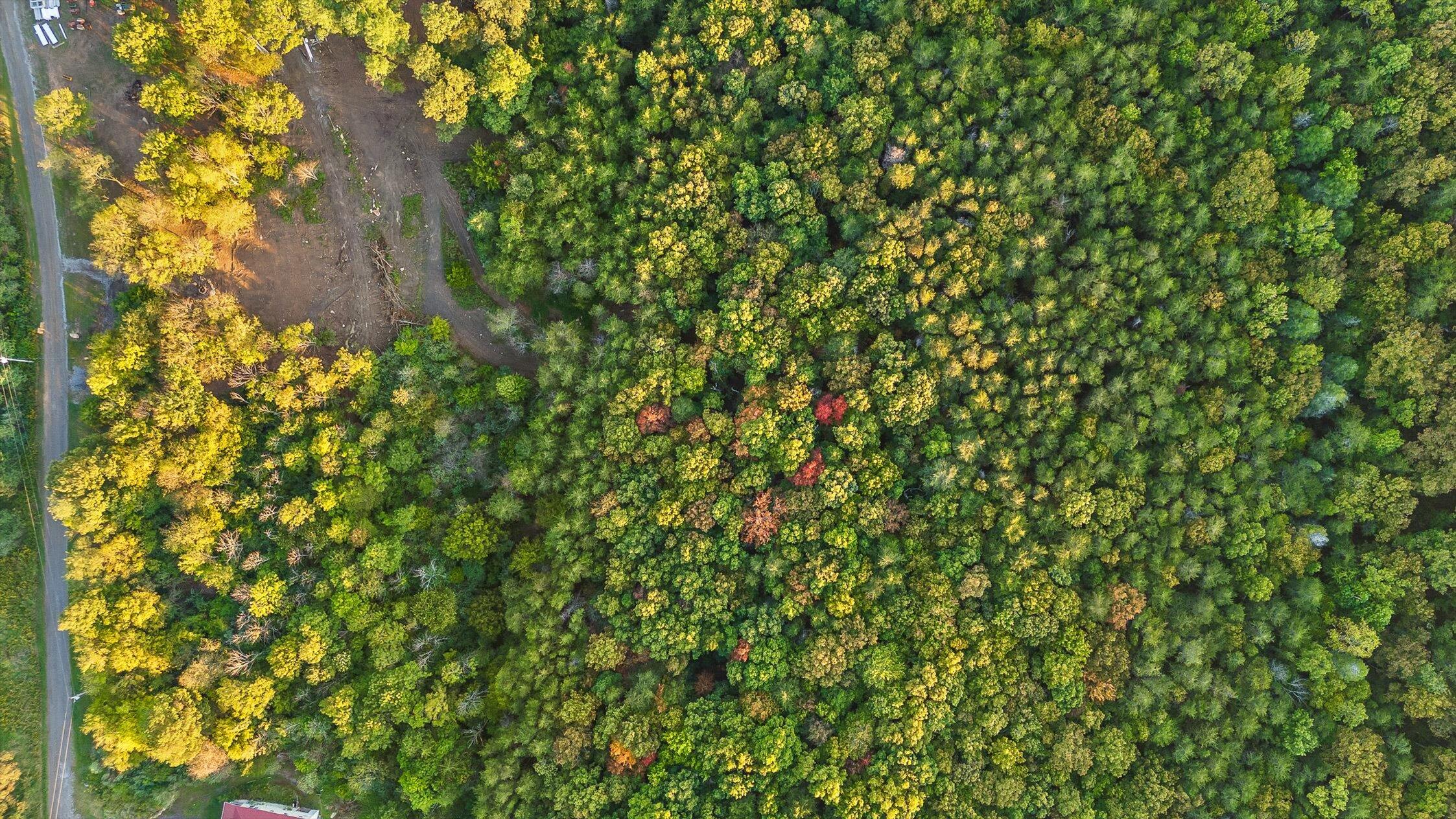 591 Red Rock Canyon Road