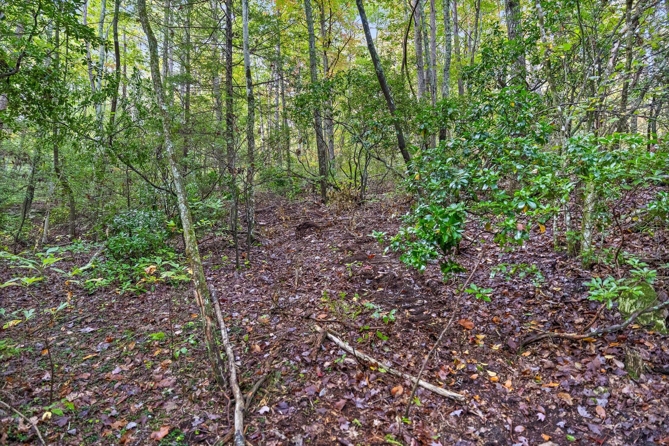 591 Red Rock Canyon Road