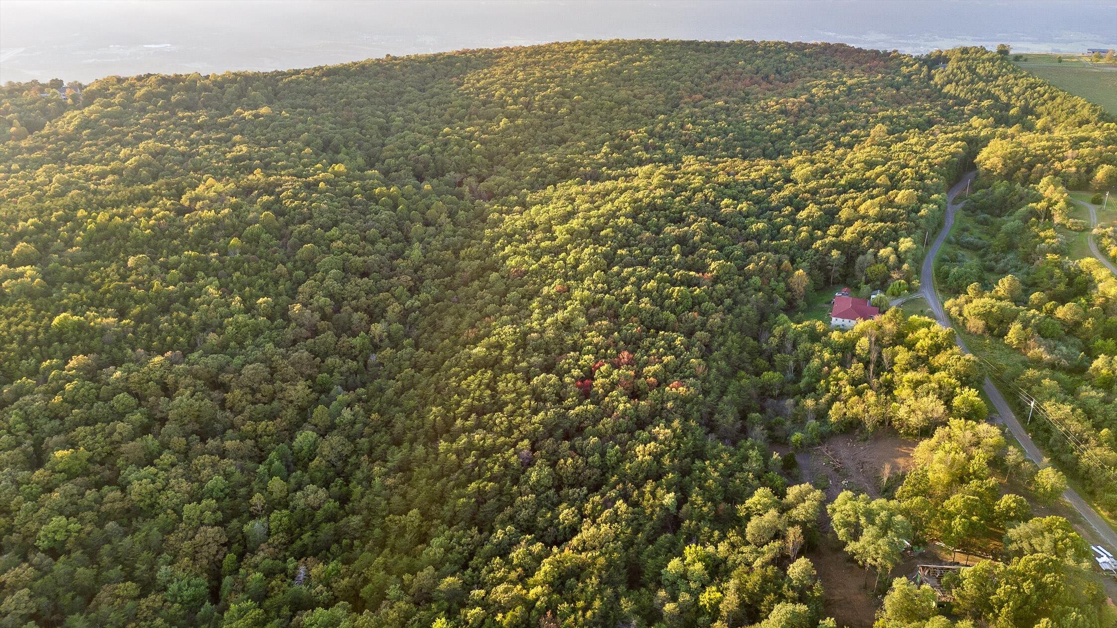 591 Red Rock Canyon Road