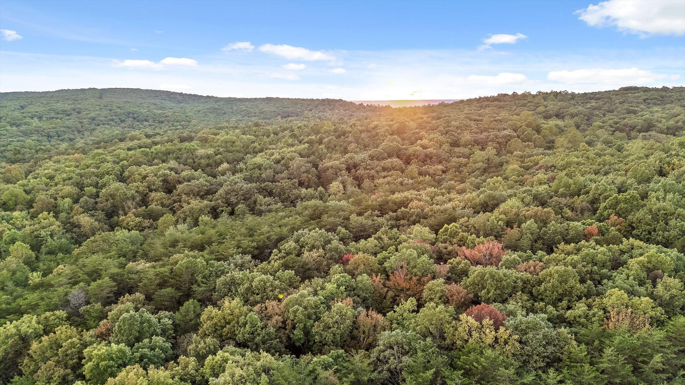 591 Red Rock Canyon Road