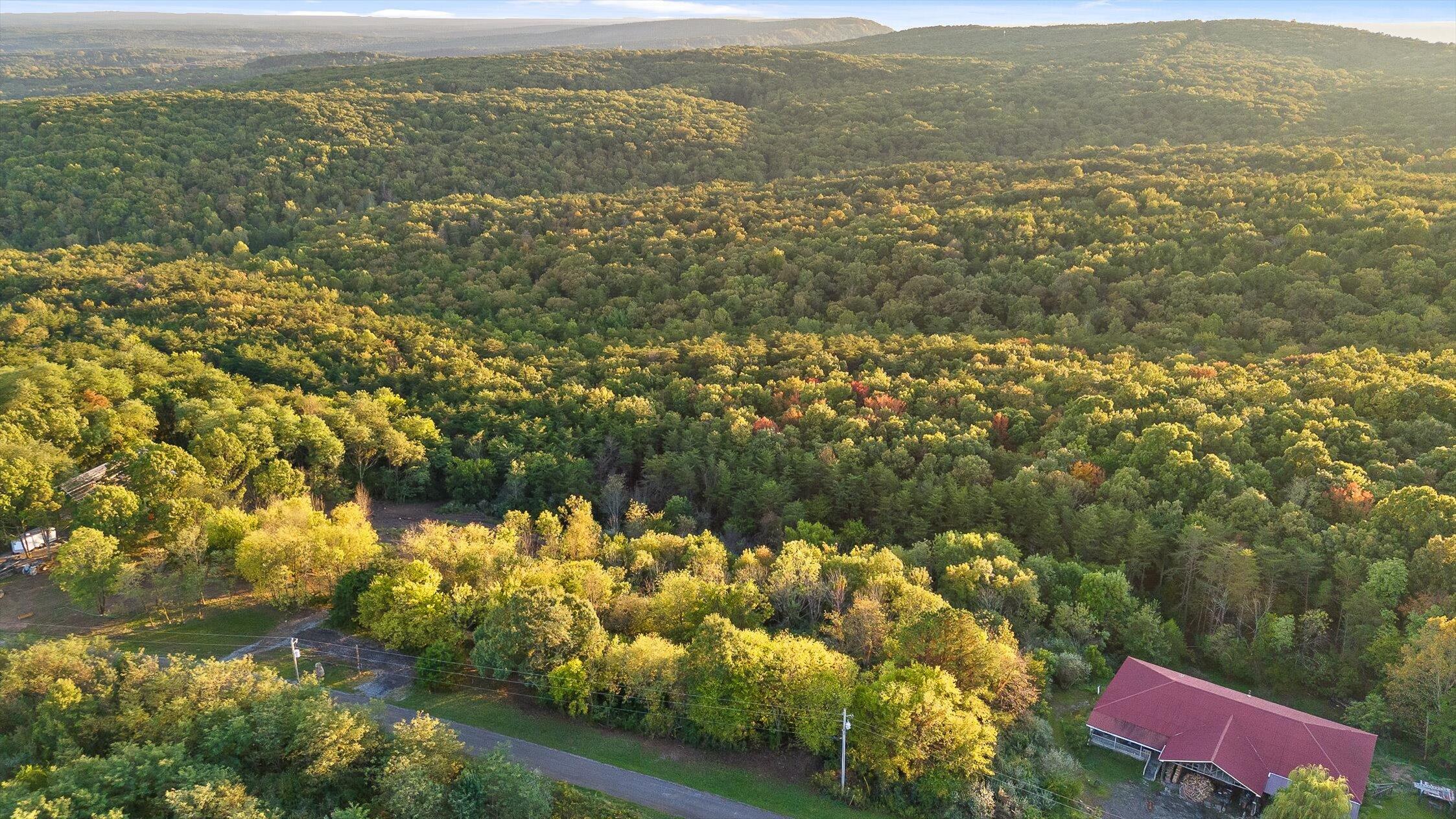 591 Red Rock Canyon Road