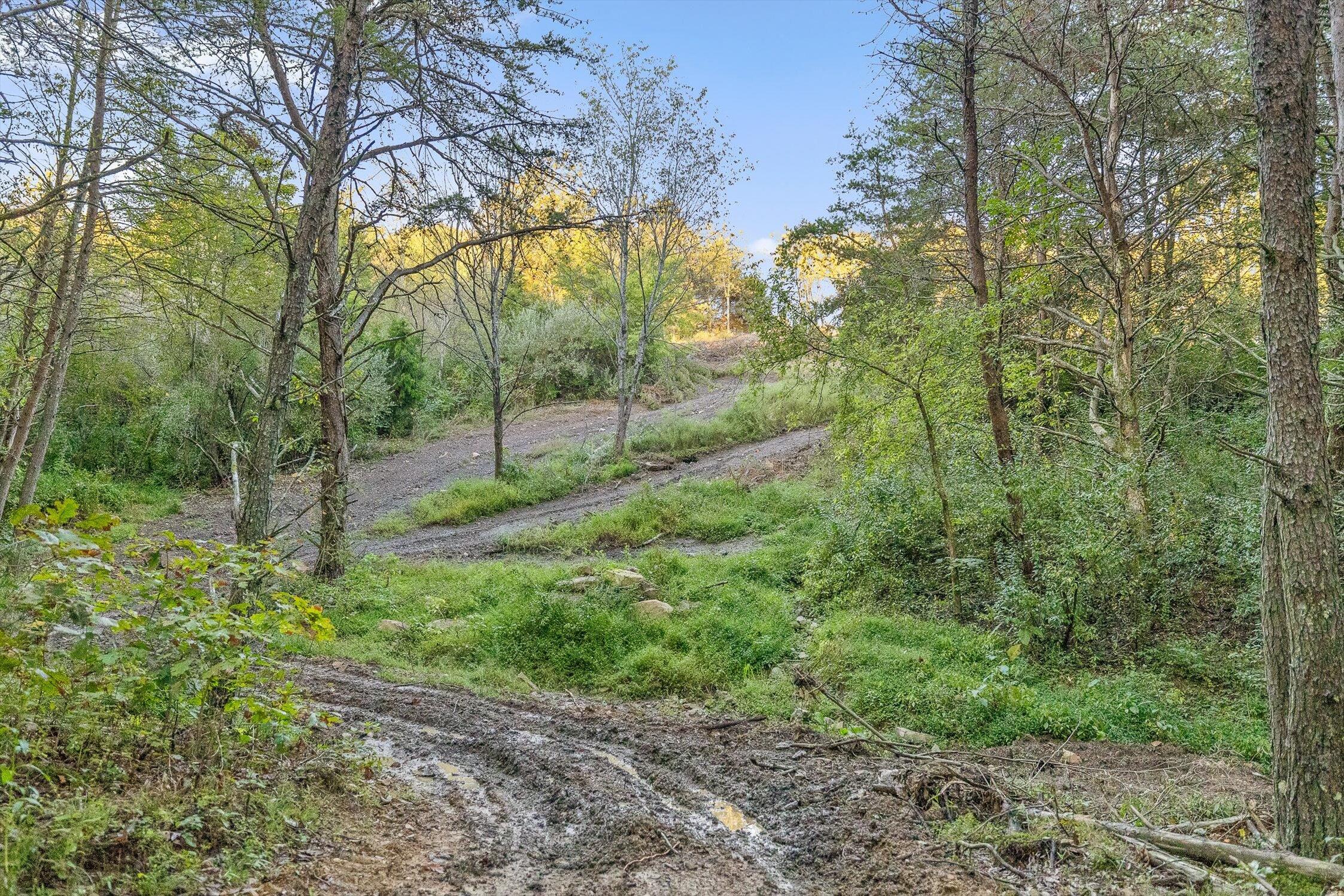 591 Red Rock Canyon Road