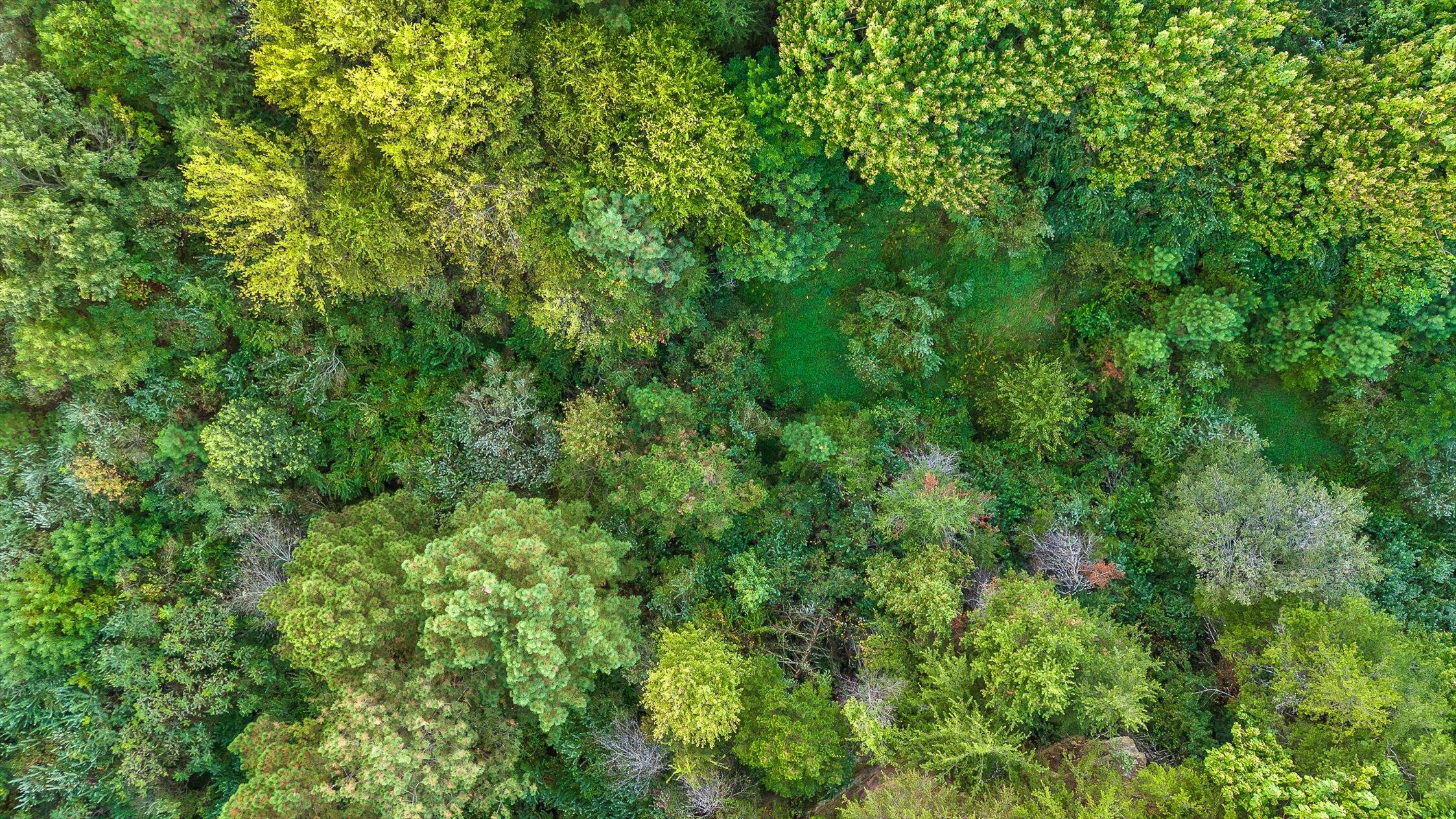 591 Red Rock Canyon Road