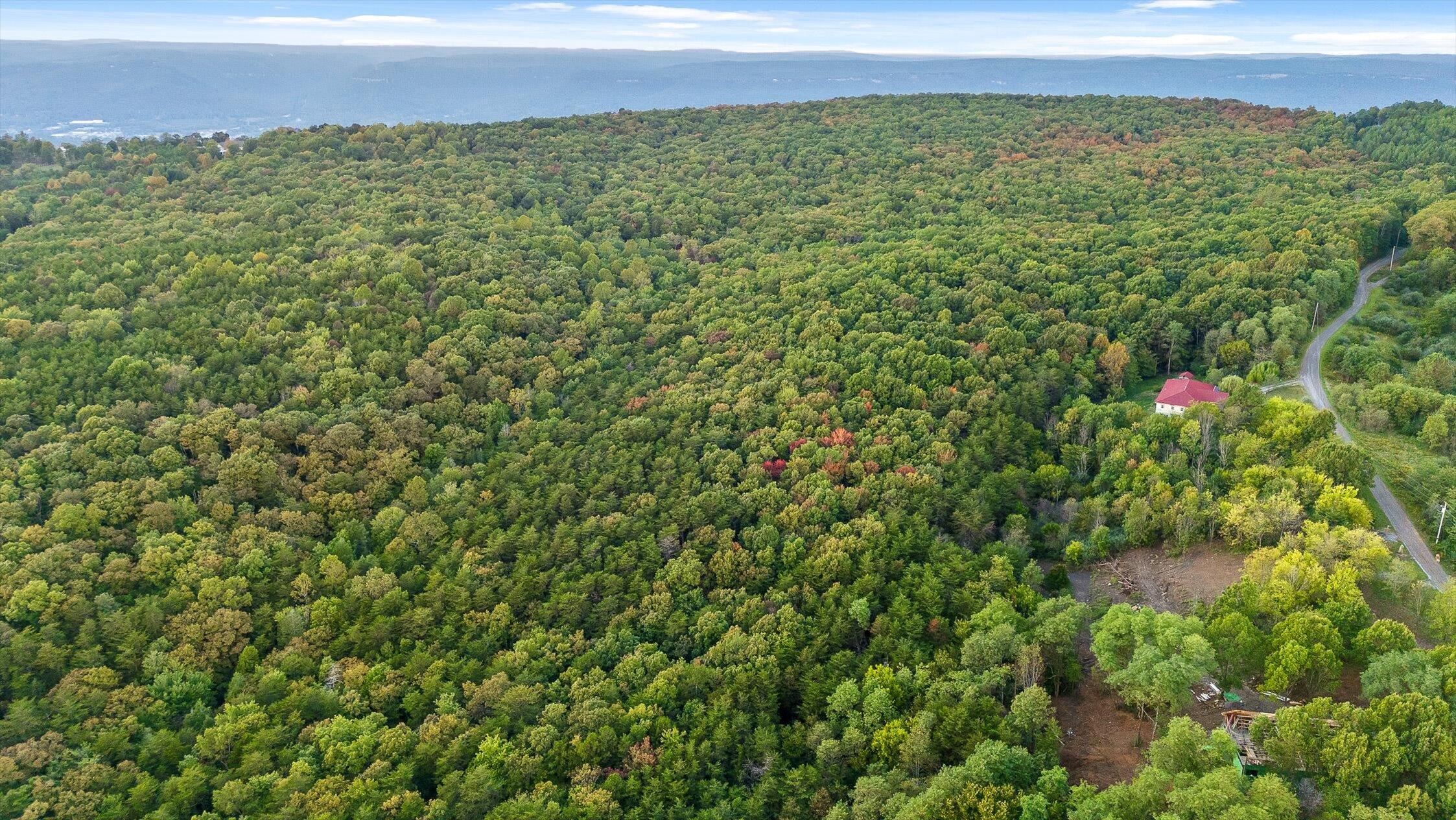 591 Red Rock Canyon Road