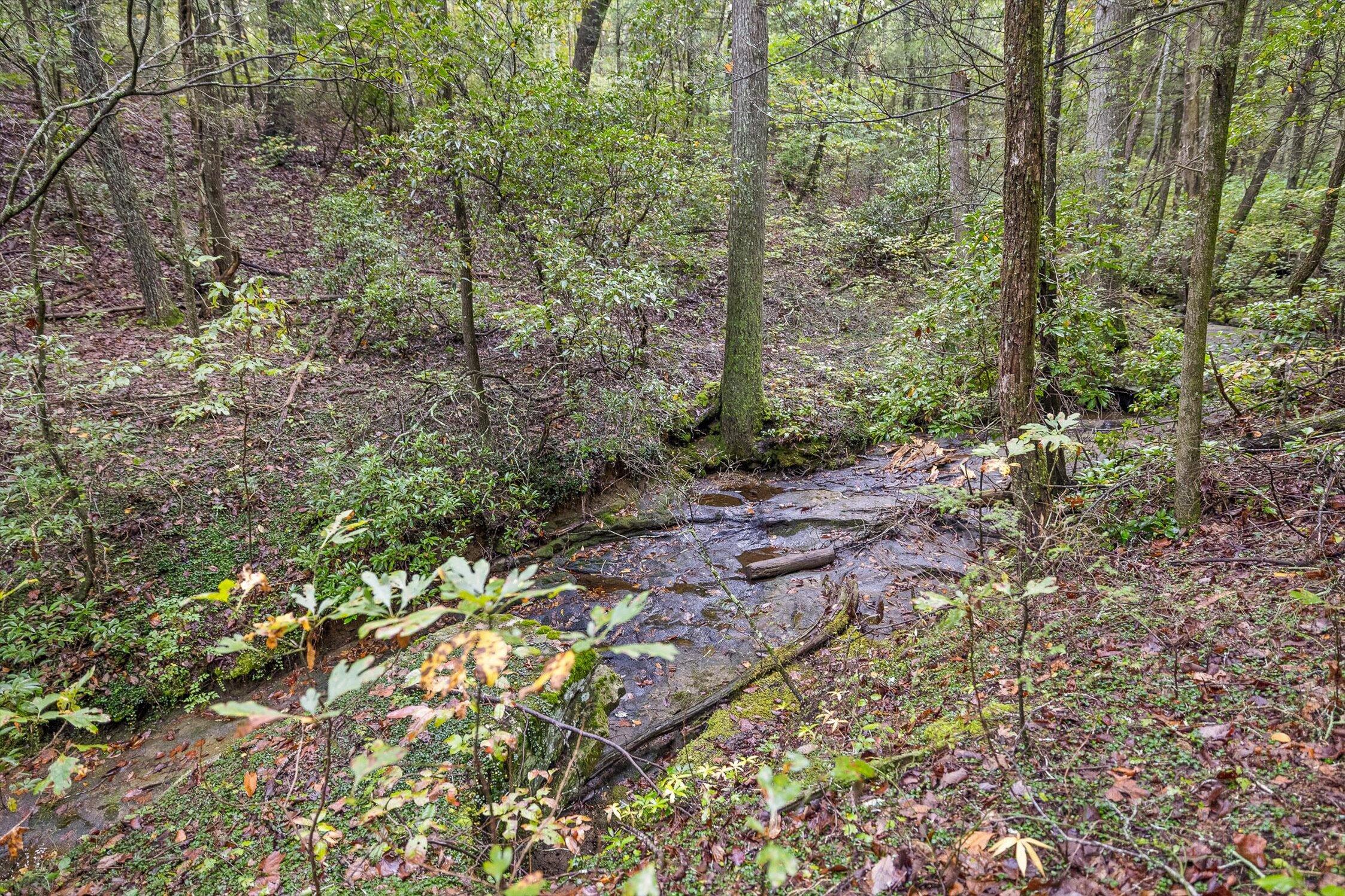 591 Red Rock Canyon Road