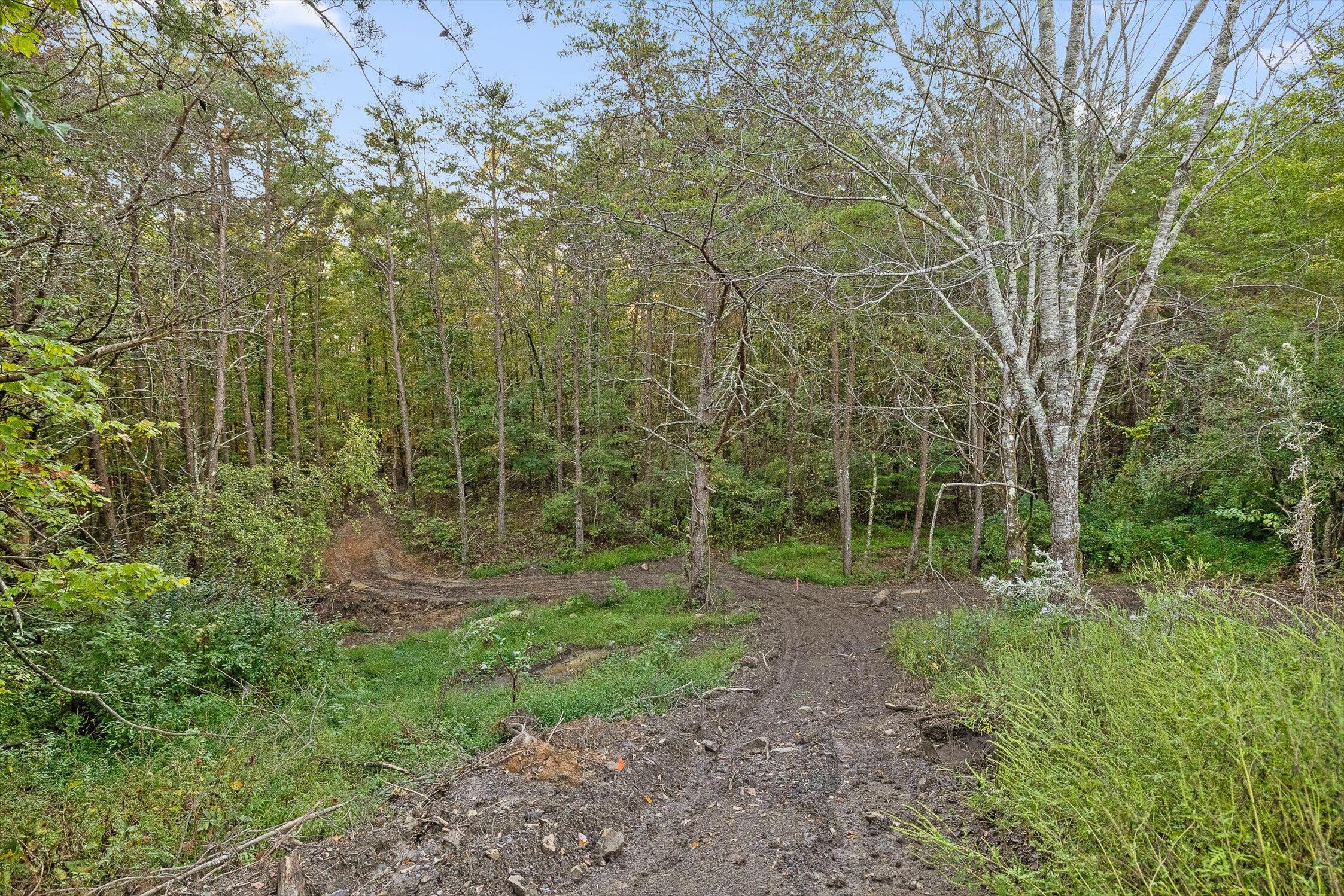 591 Red Rock Canyon Road