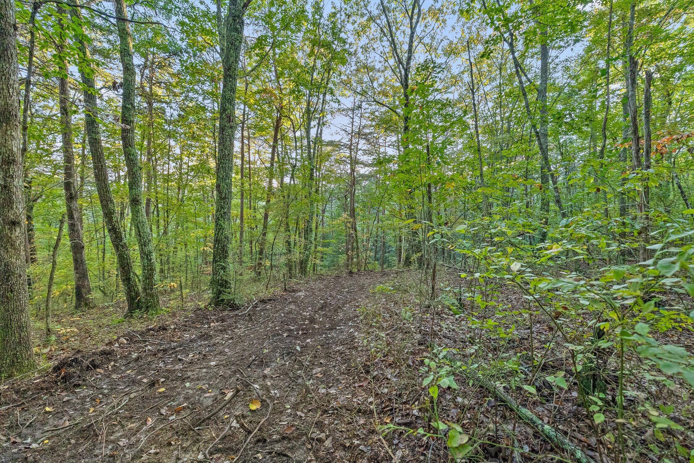 591 Red Rock Canyon Road