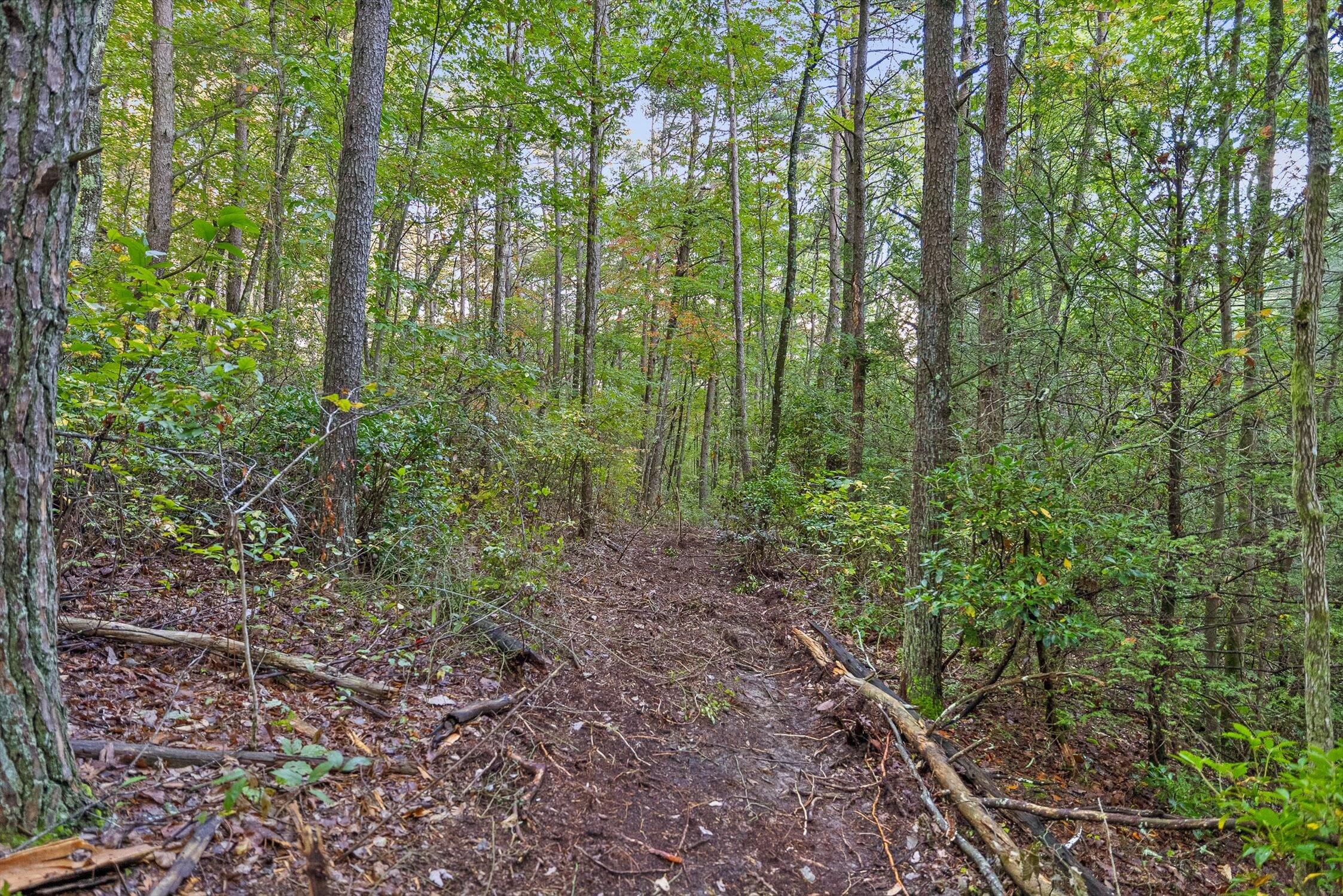 591 Red Rock Canyon Road