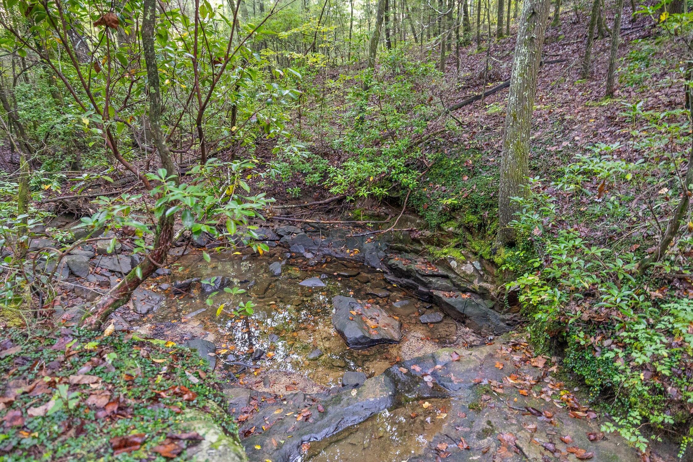 591 Red Rock Canyon Road