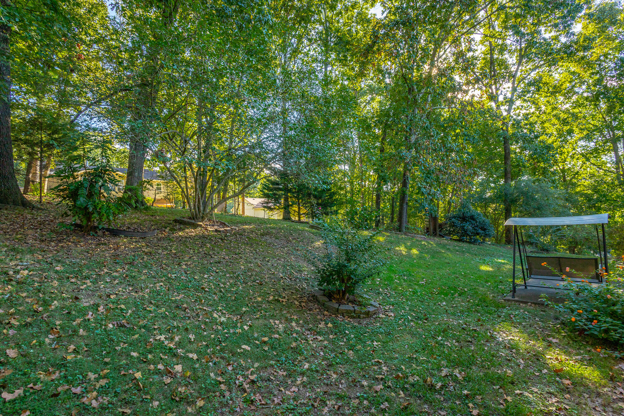 158 Smoketree Circle