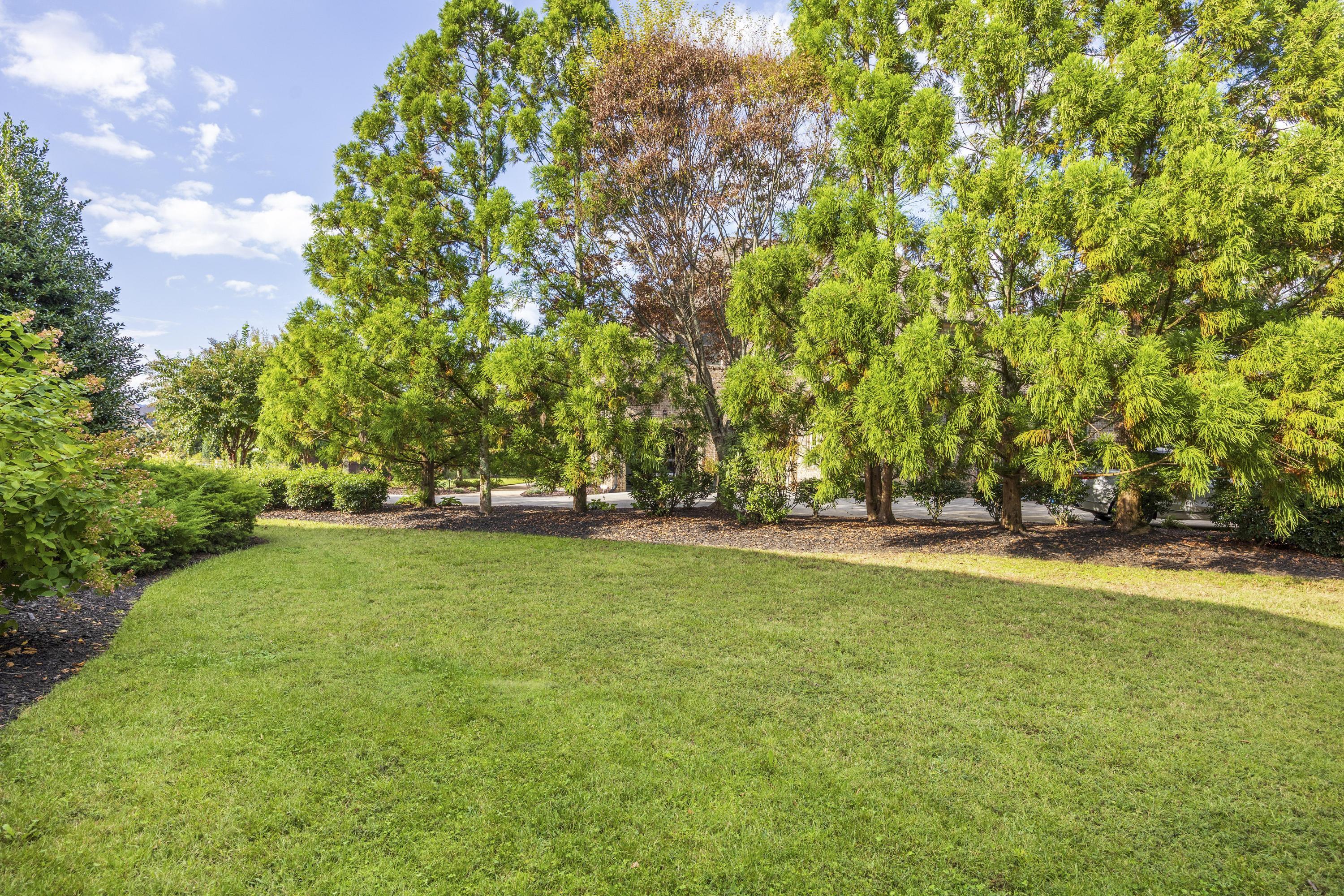 1408 Needle Rush Lane