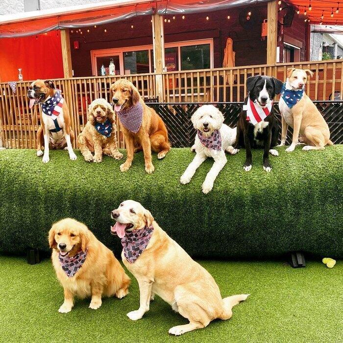 1408 Williams Street