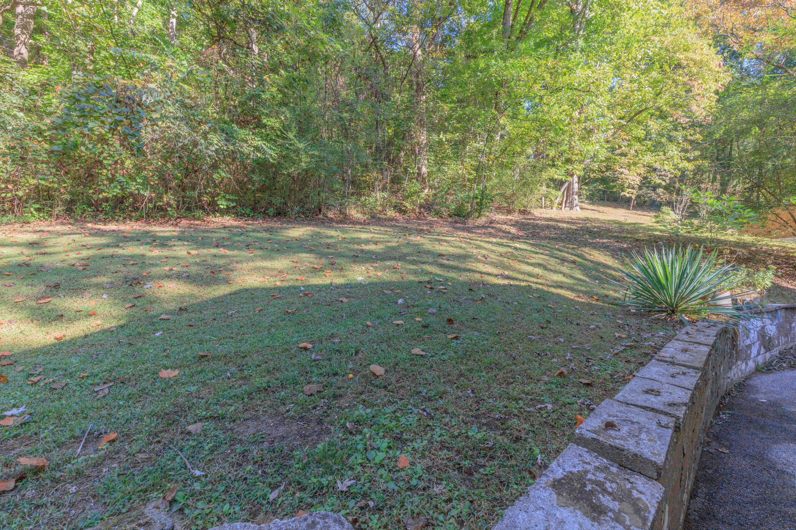 9851 Millsaps Street