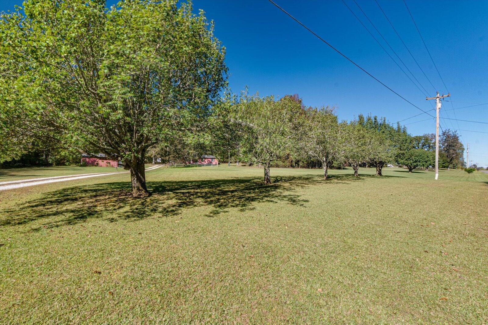 954 Goodson Circle