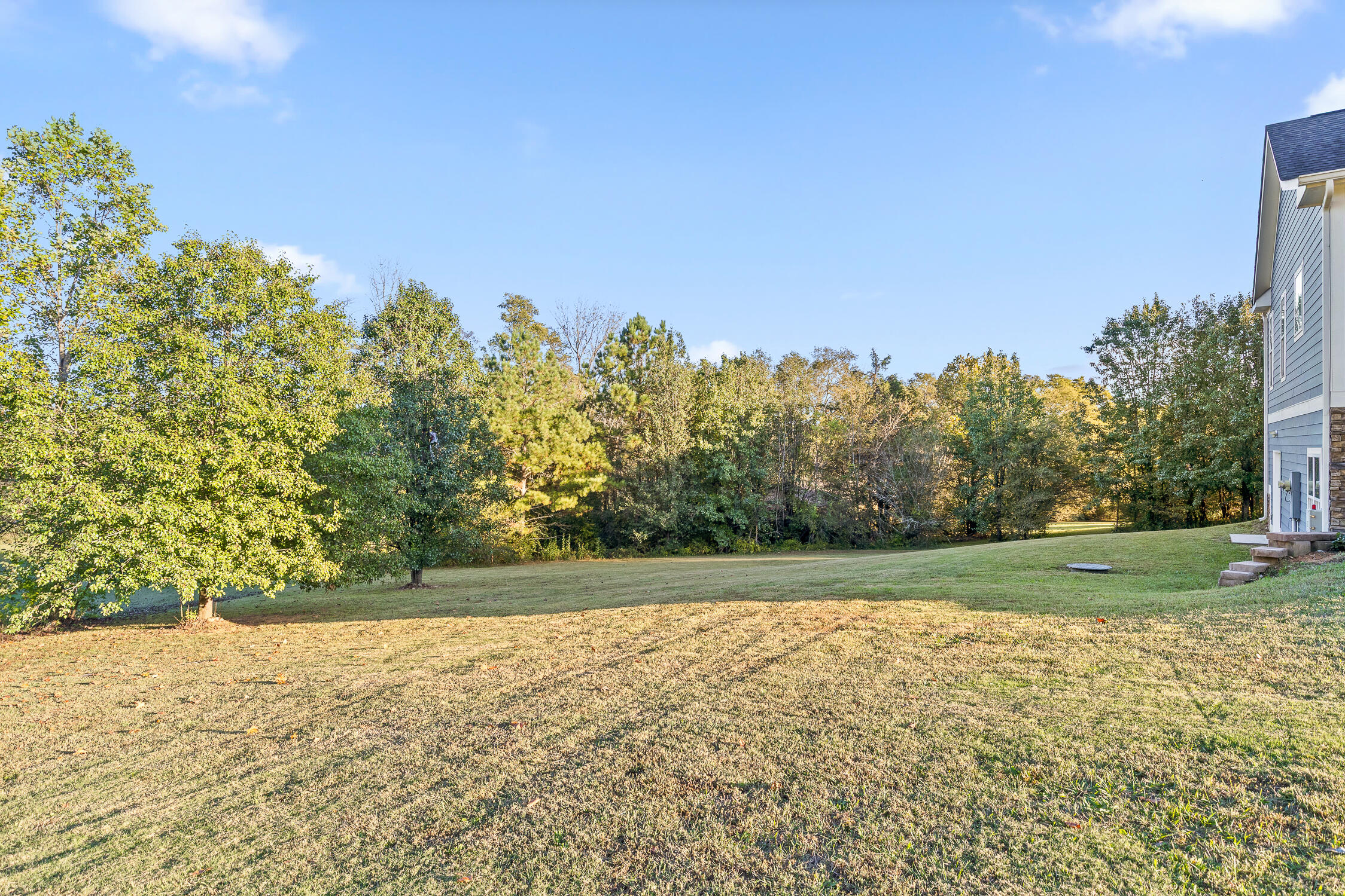 315 Turkey Run