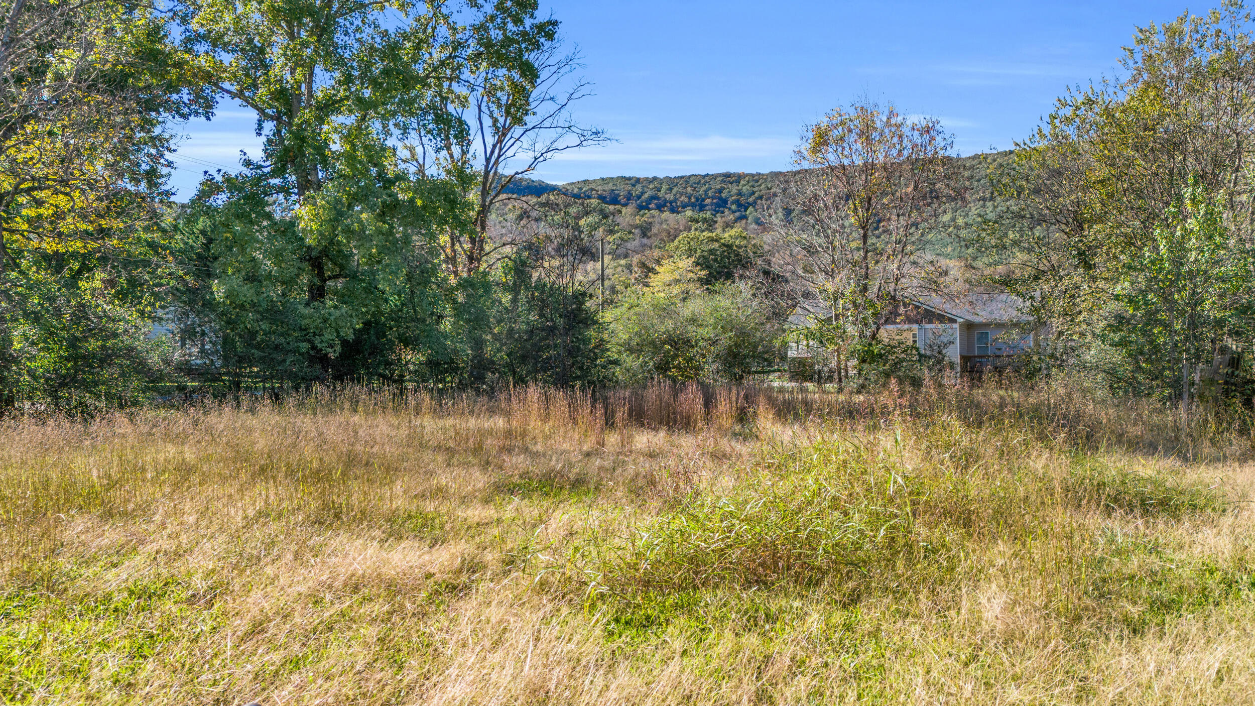 704 Ray Lane, Hixson