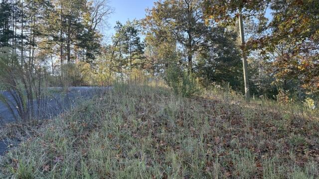 213 Oak Stone Way Way, Dalton