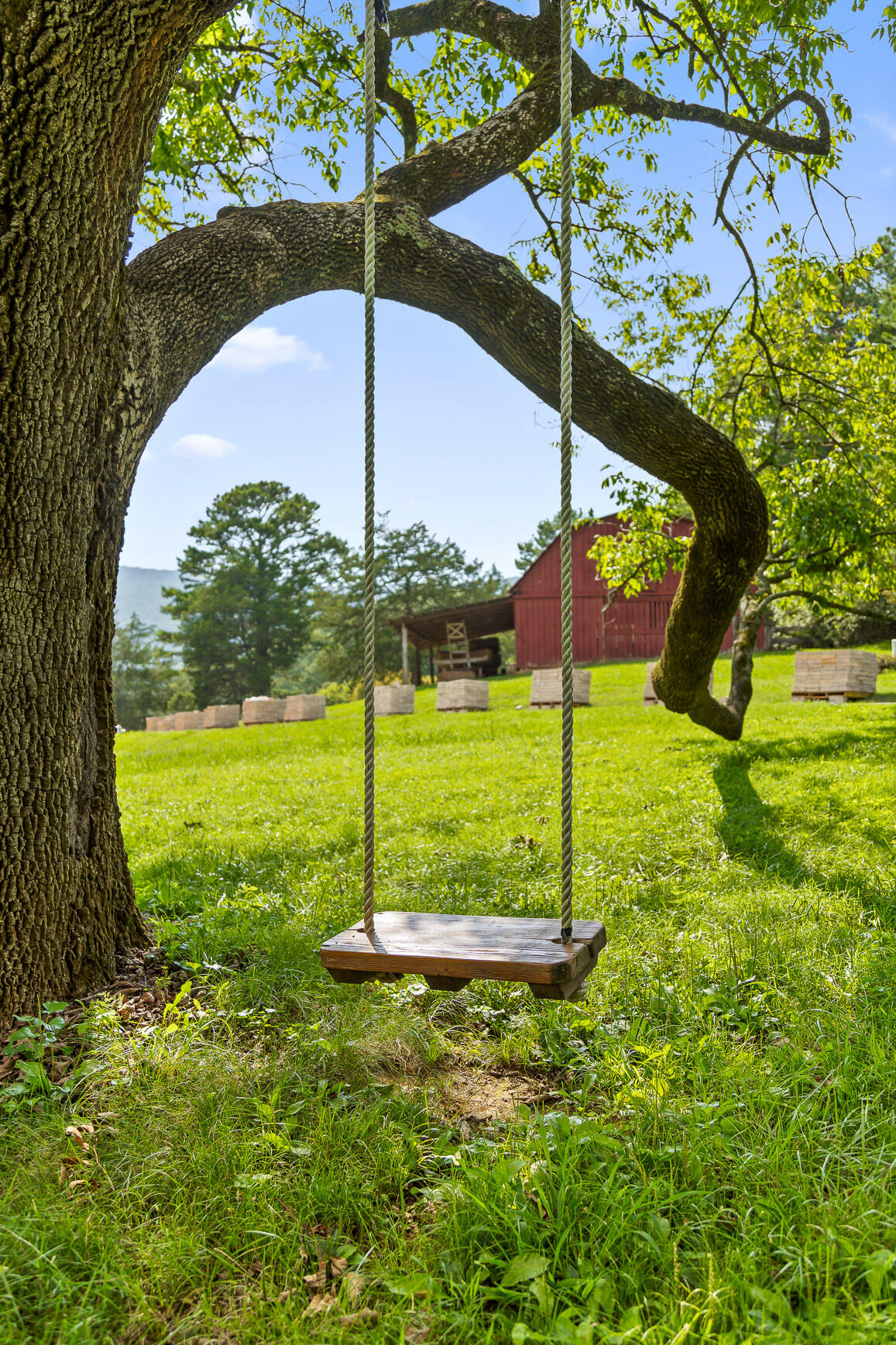 0 Mountain Parkway, 101