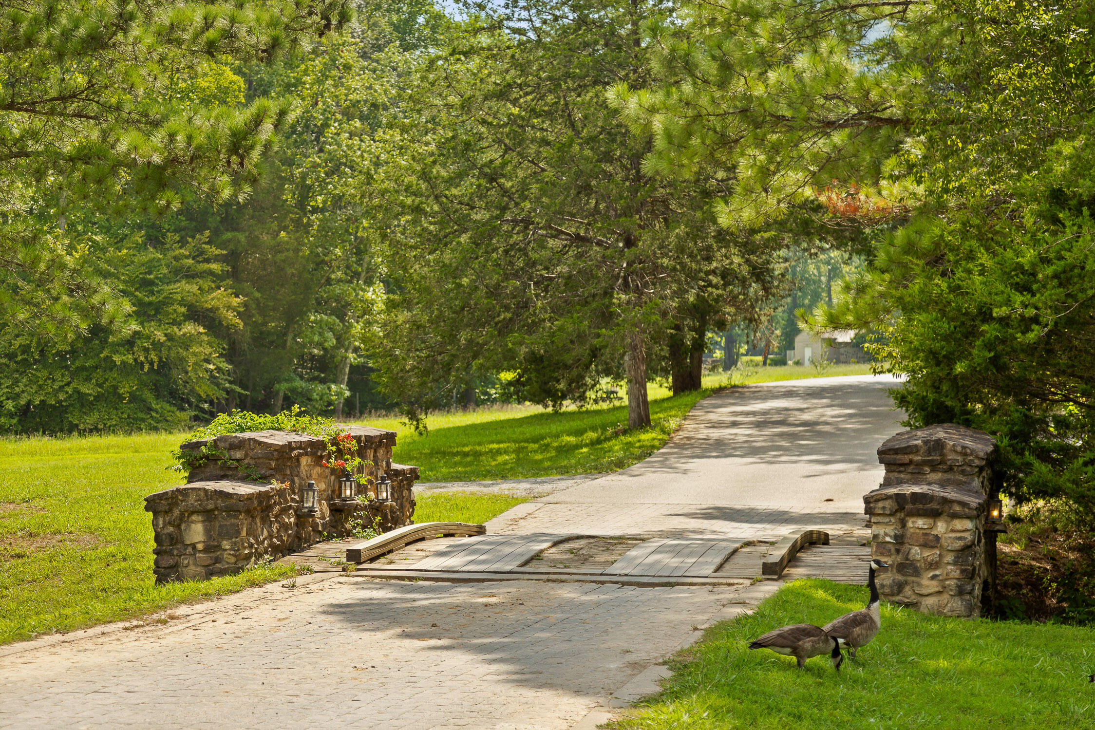 0 Mountain Parkway, 101