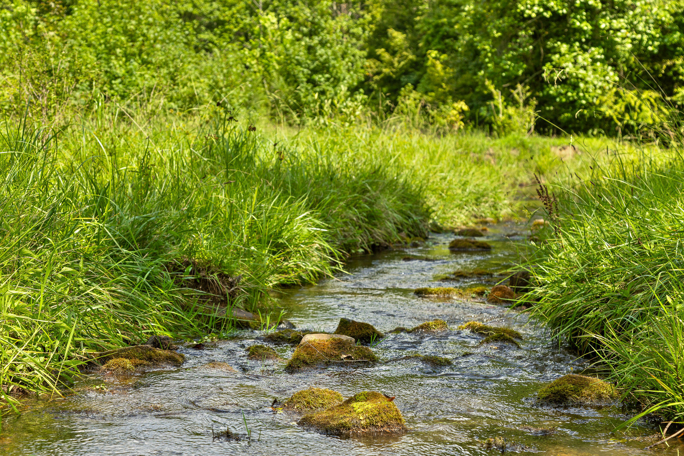 0 Mountain Parkway, 101