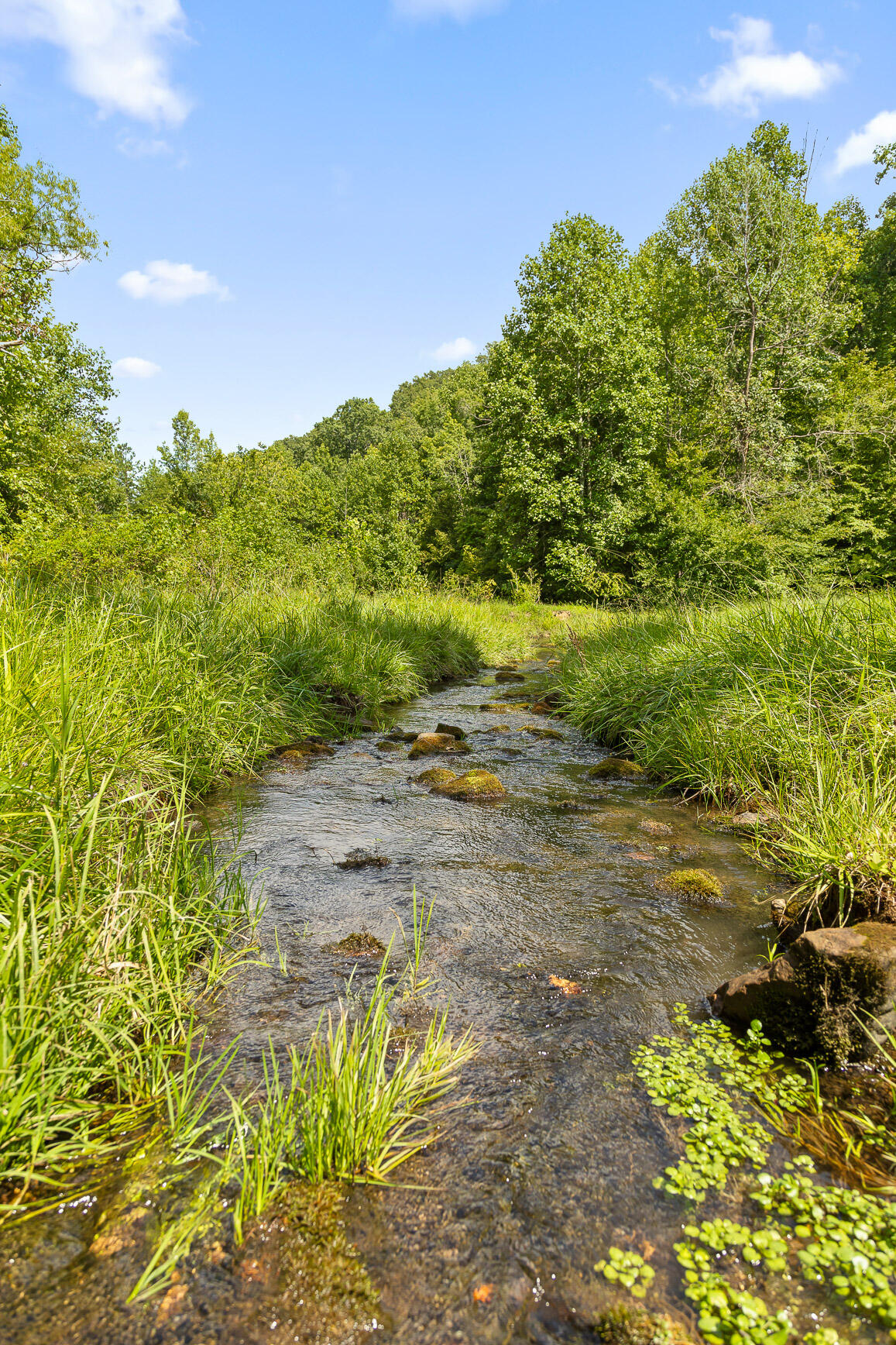 0 Mountain Parkway, 101