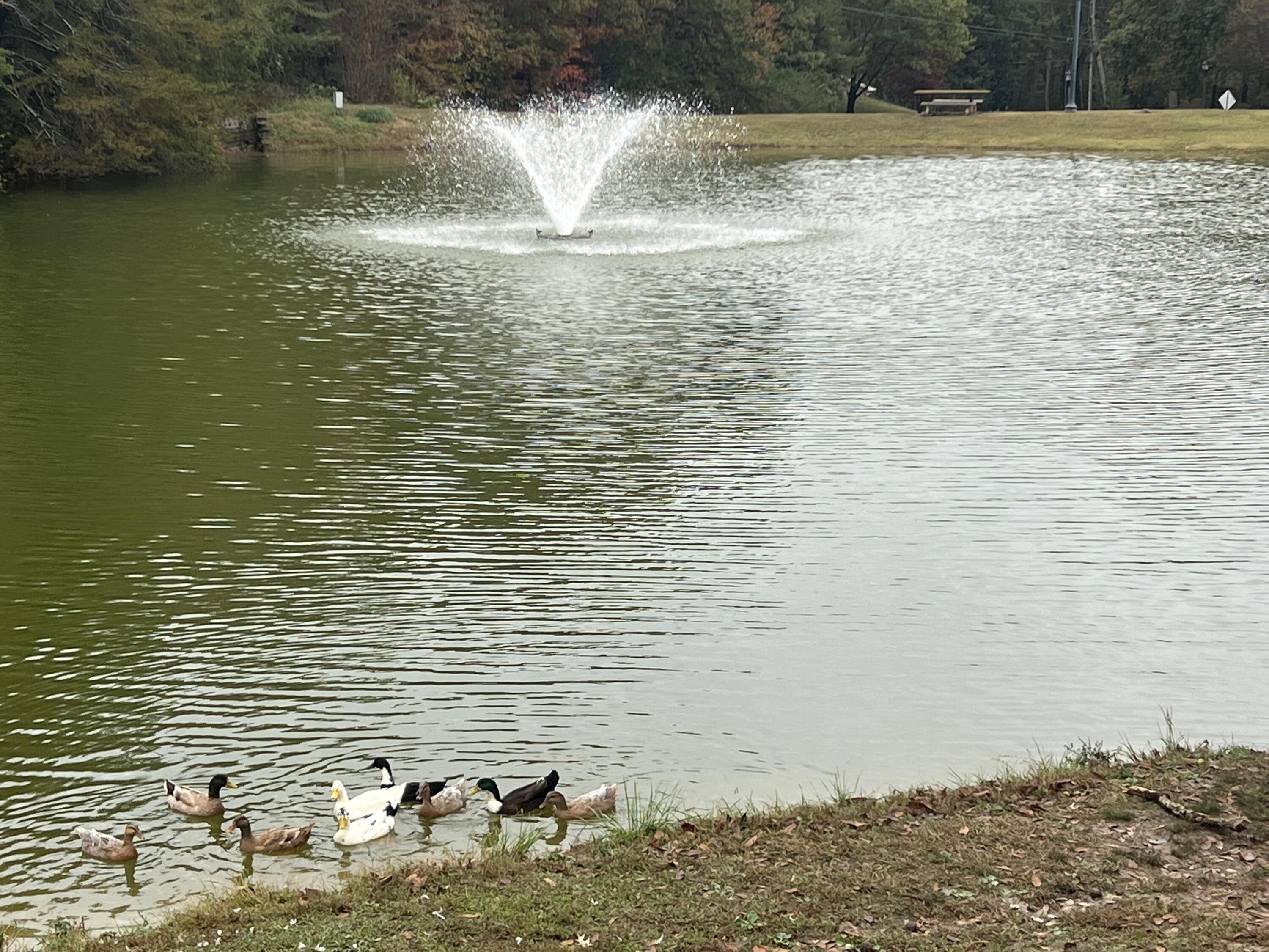 2316 Green Valley Road