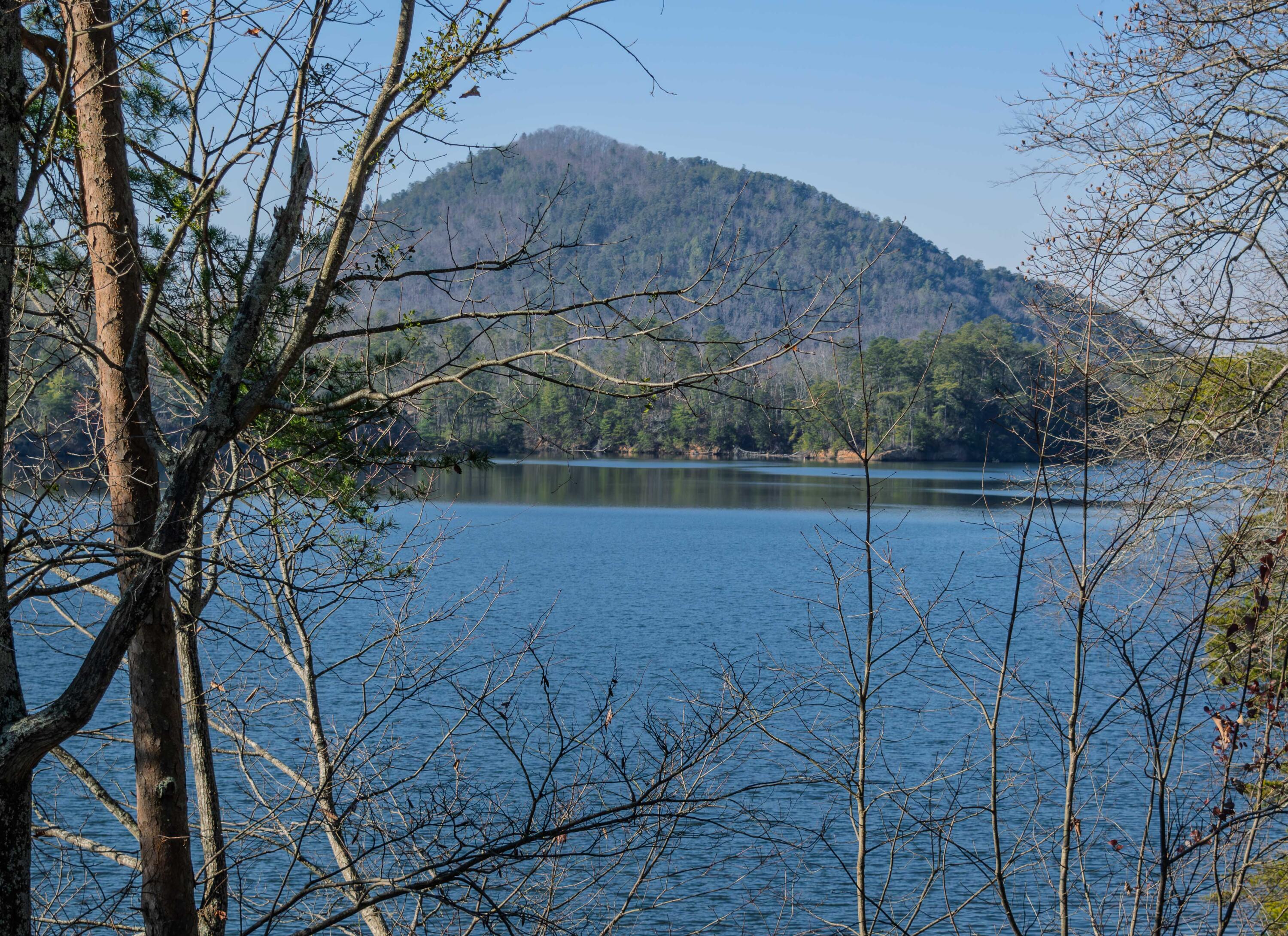 109 Cherokee Ridge Drive, 50